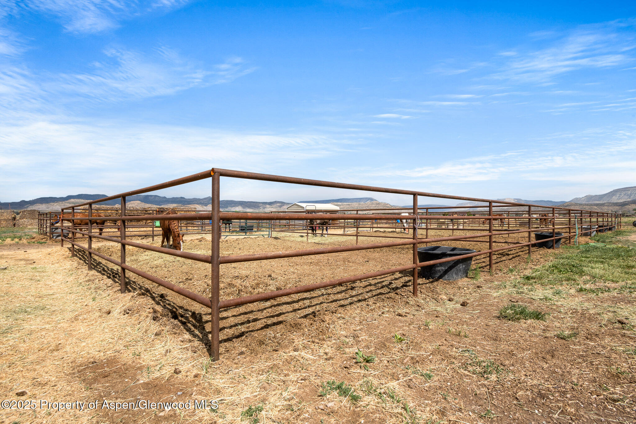2022 45 Road De Beque CO 81630