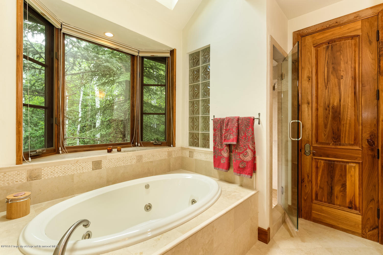 127 Robinson Road Aspen CO 81611