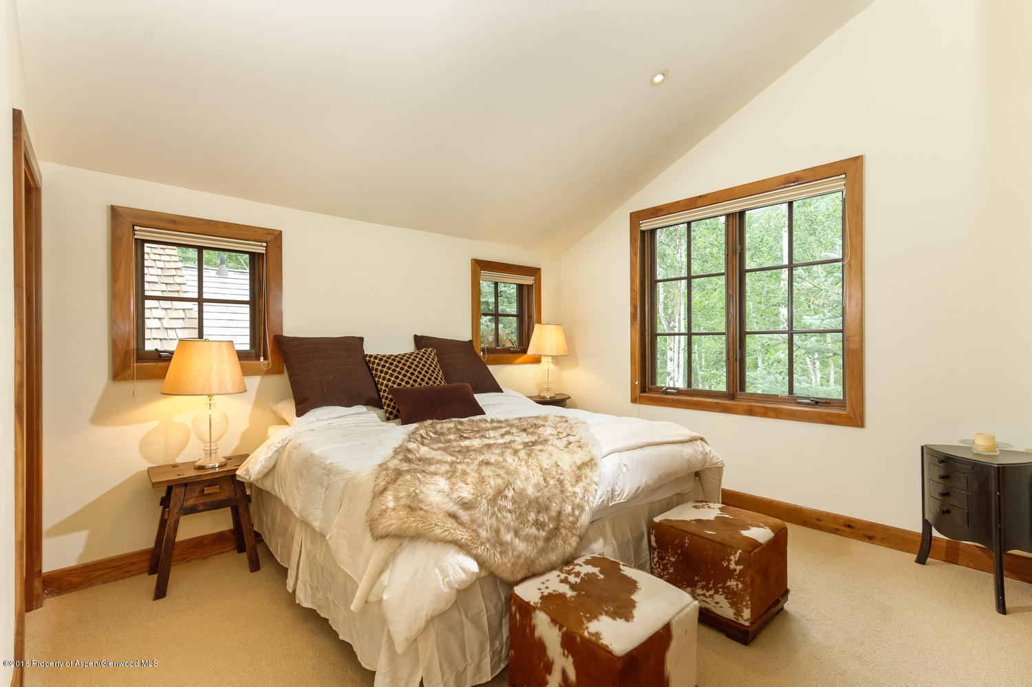127 Robinson Road Aspen CO 81611