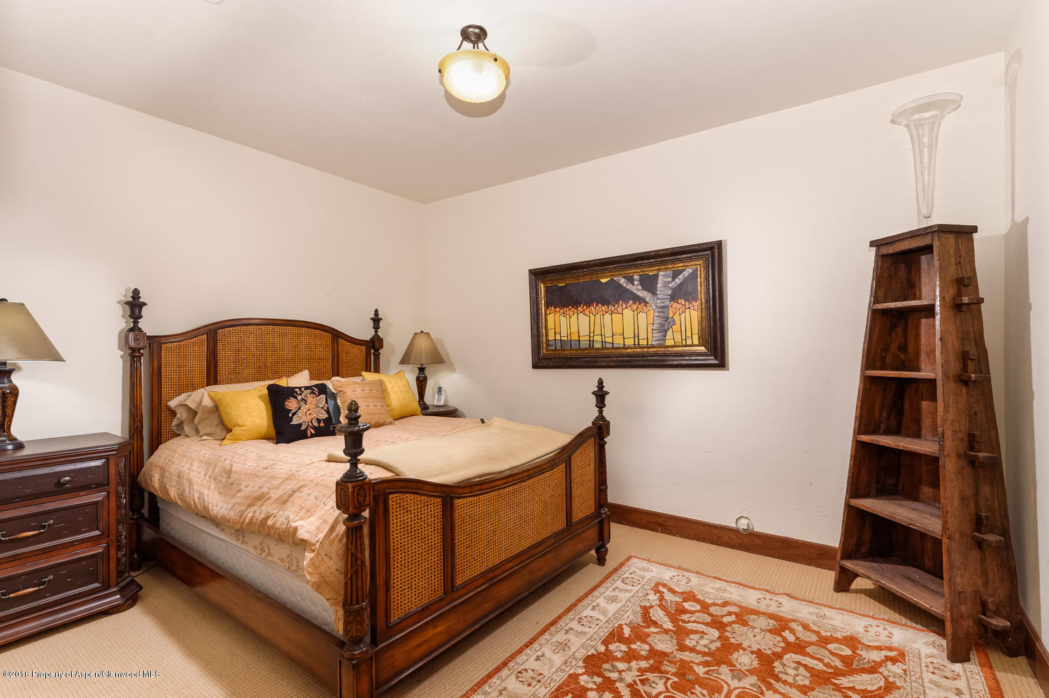 127 Robinson Road Aspen CO 81611