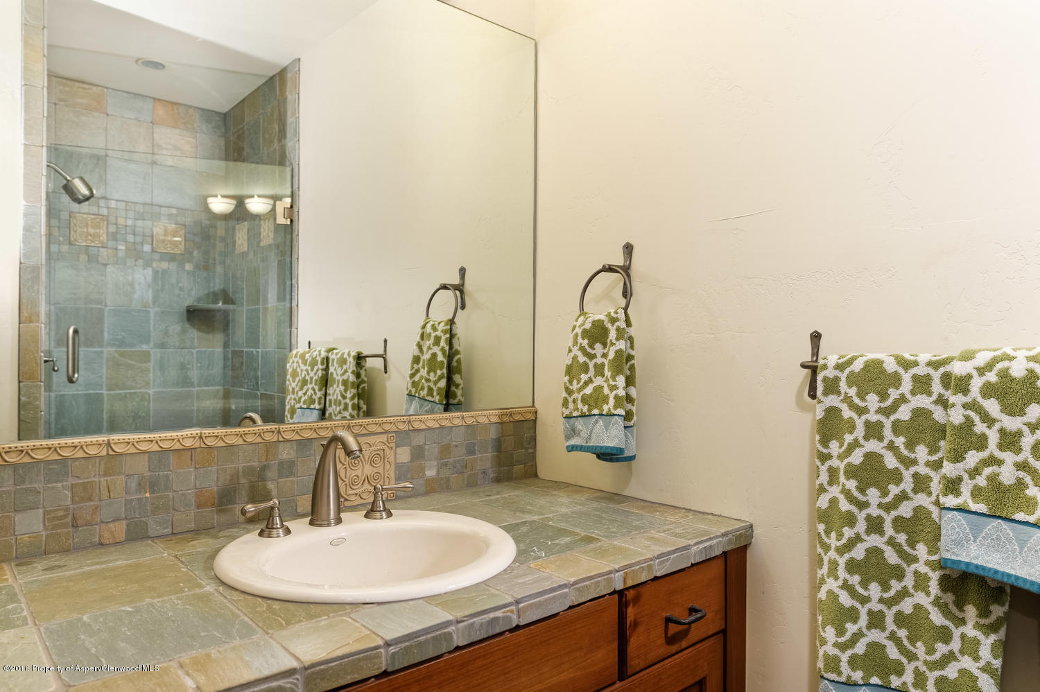 127 Robinson Road Aspen CO 81611