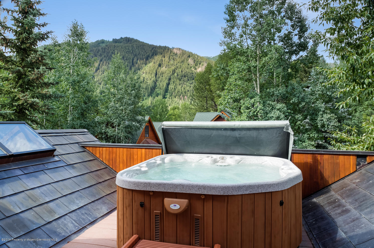 127 Robinson Road Aspen CO 81611