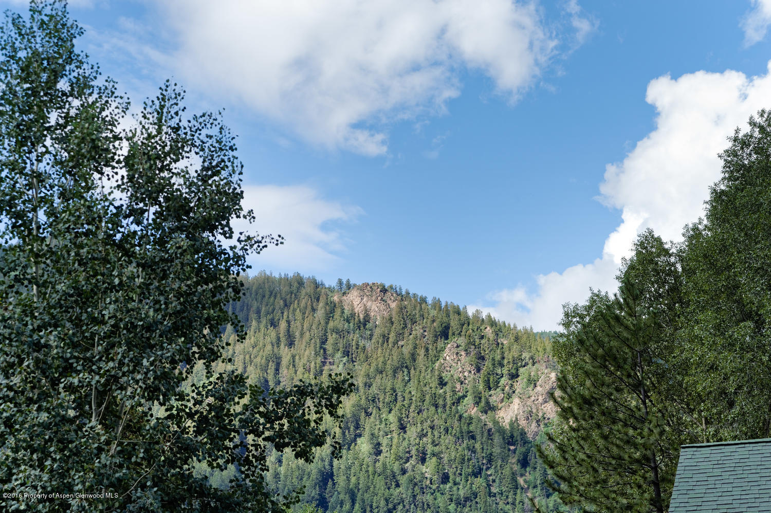 127 Robinson Road Aspen CO 81611
