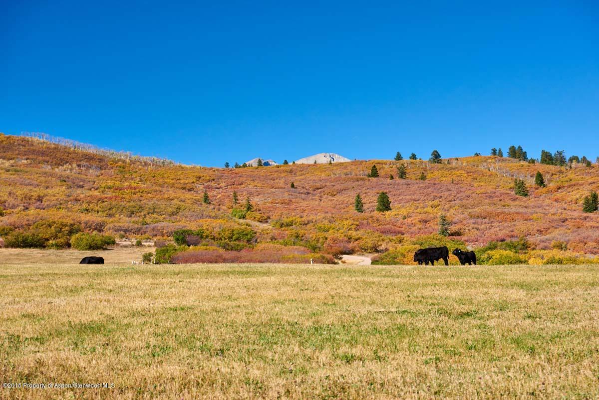 4725 Capitol Creek Road Snowmass CO 81654