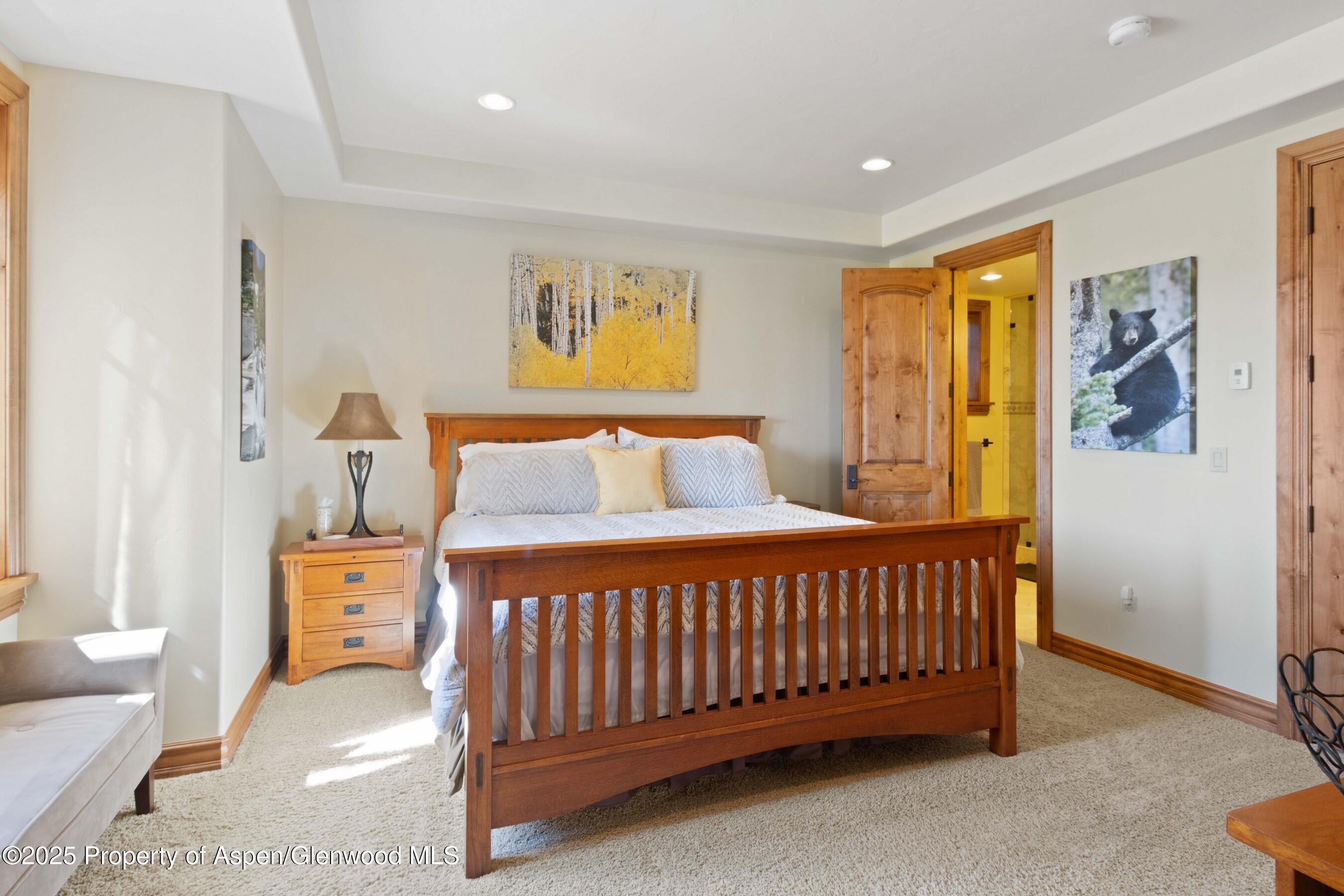 119 Maroon Drive Glenwood Springs CO 81601