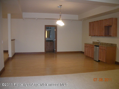 26 Saddlehorn Court Carbondale CO 81623