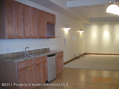 26 Saddlehorn Court Carbondale CO 81623