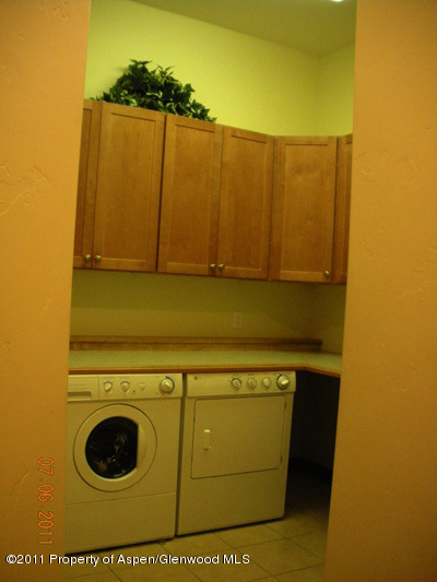 26 Saddlehorn Court Carbondale CO 81623
