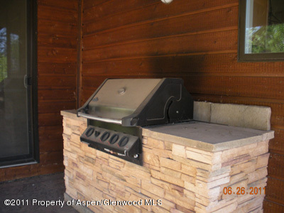 26 Saddlehorn Court Carbondale CO 81623