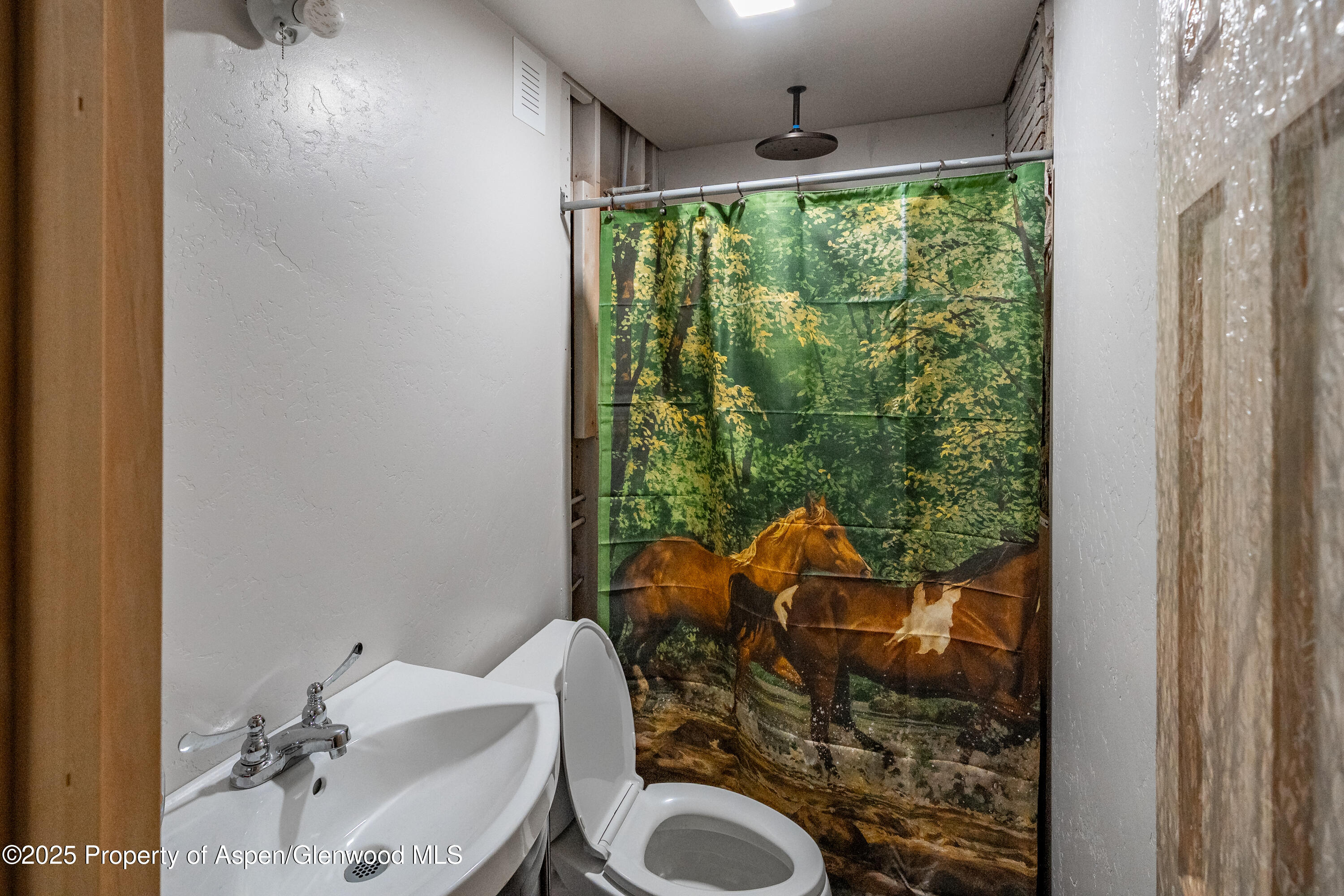 4784 County Road 312 New Castle CO 81647