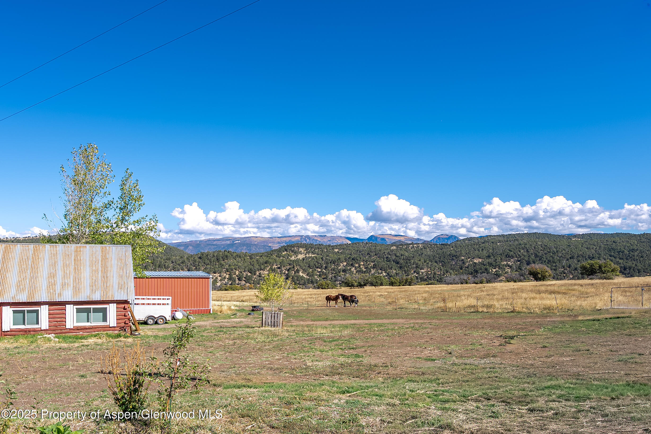 4784 County Road 312 New Castle CO 81647