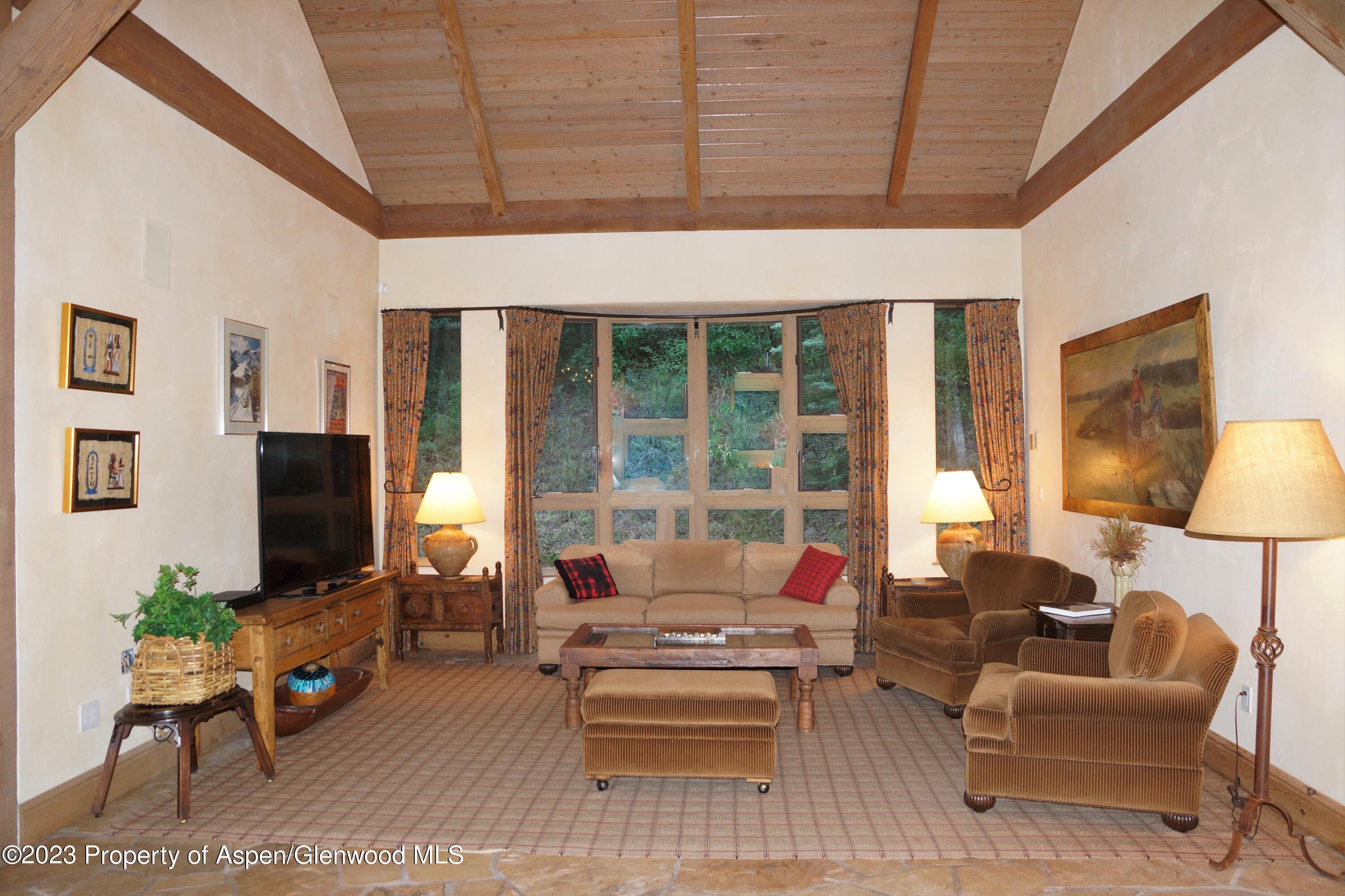 195 Magnifico Drive Aspen CO 81611