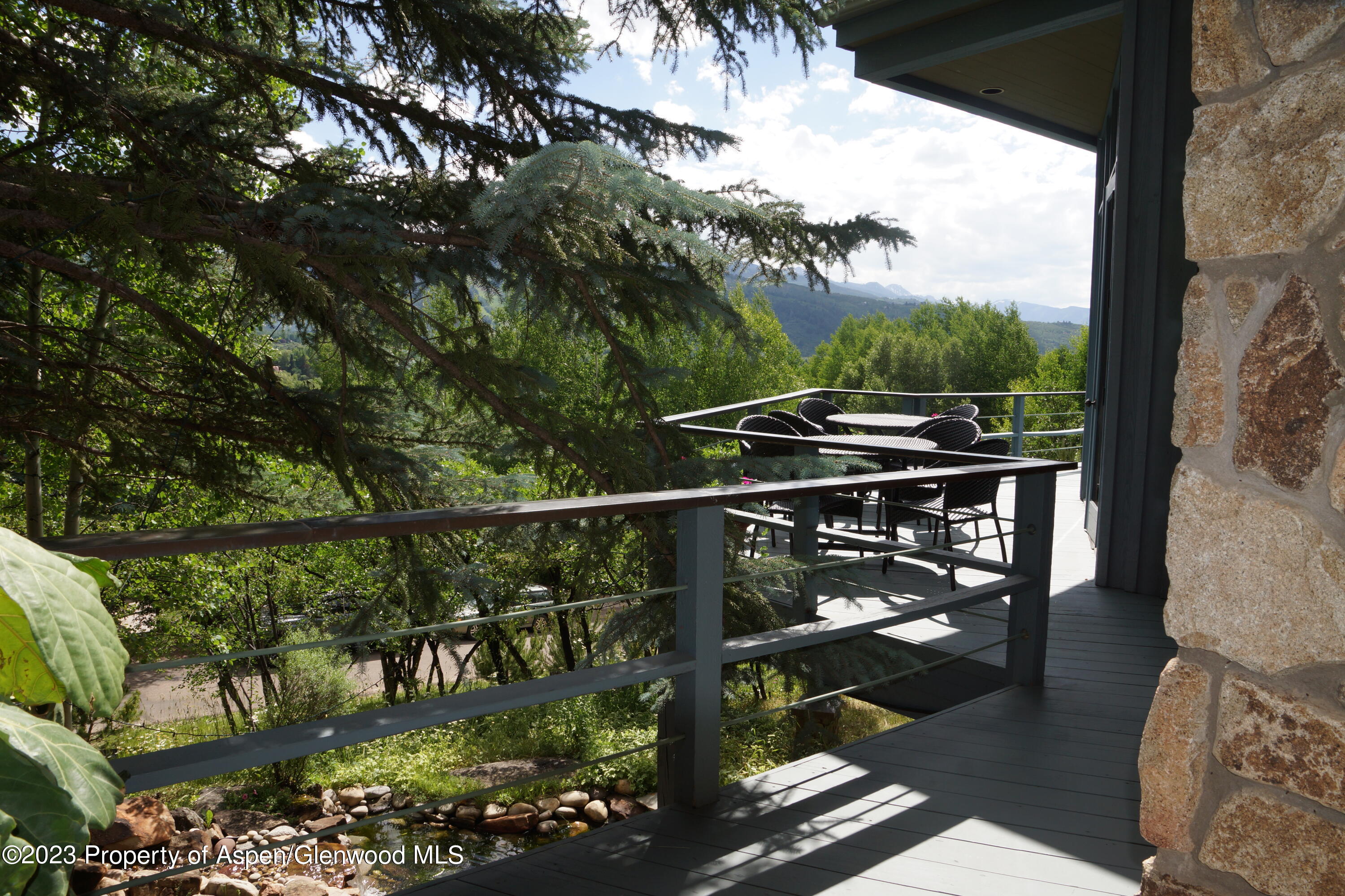195 Magnifico Drive Aspen CO 81611