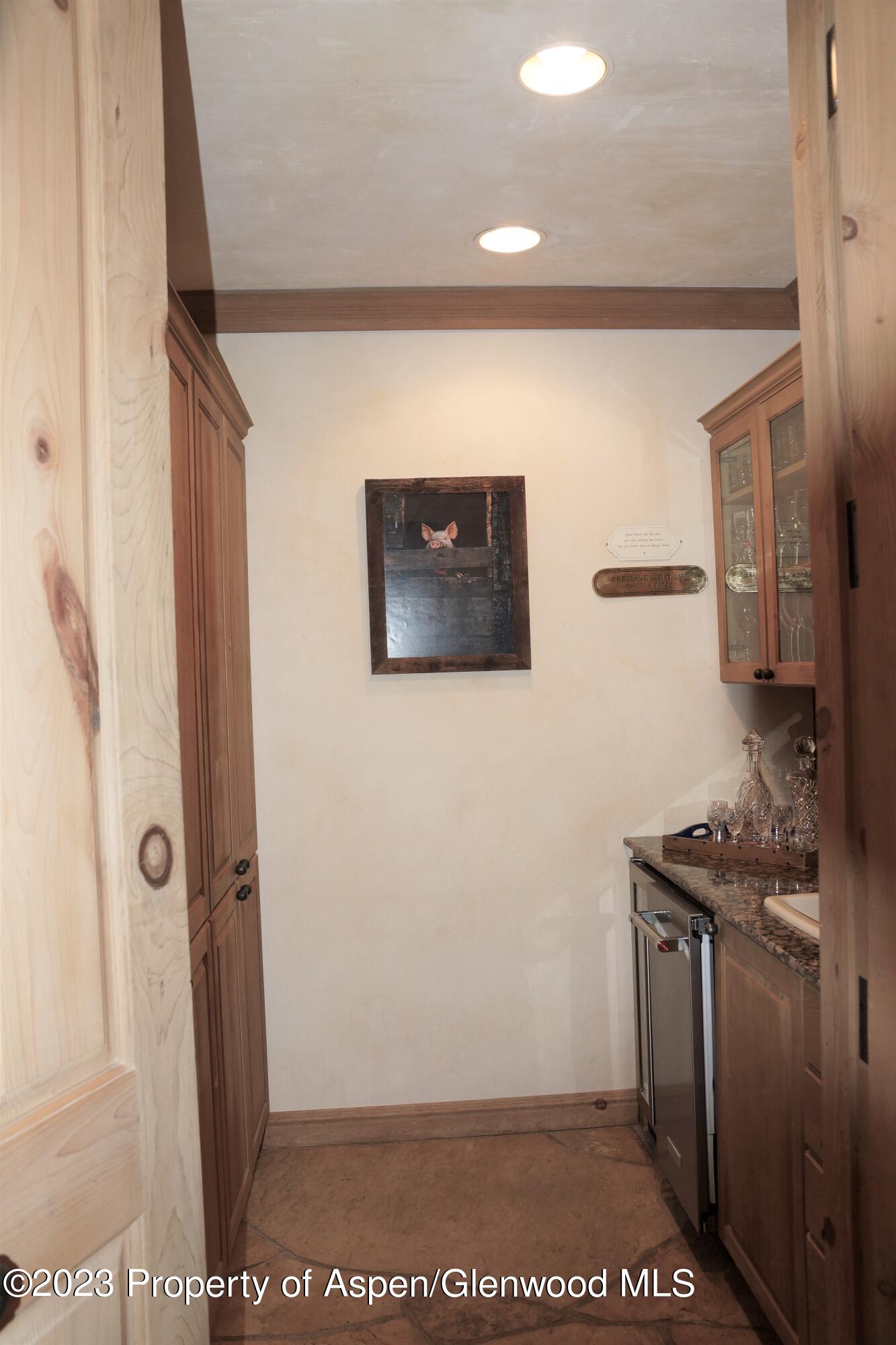 195 Magnifico Drive Aspen CO 81611