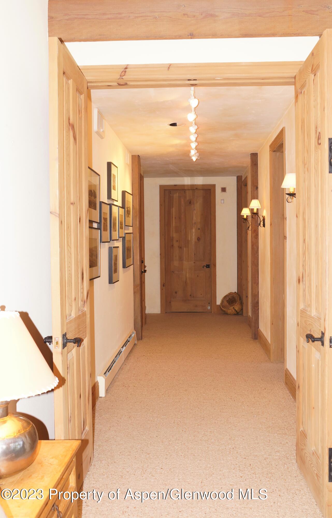 195 Magnifico Drive Aspen CO 81611