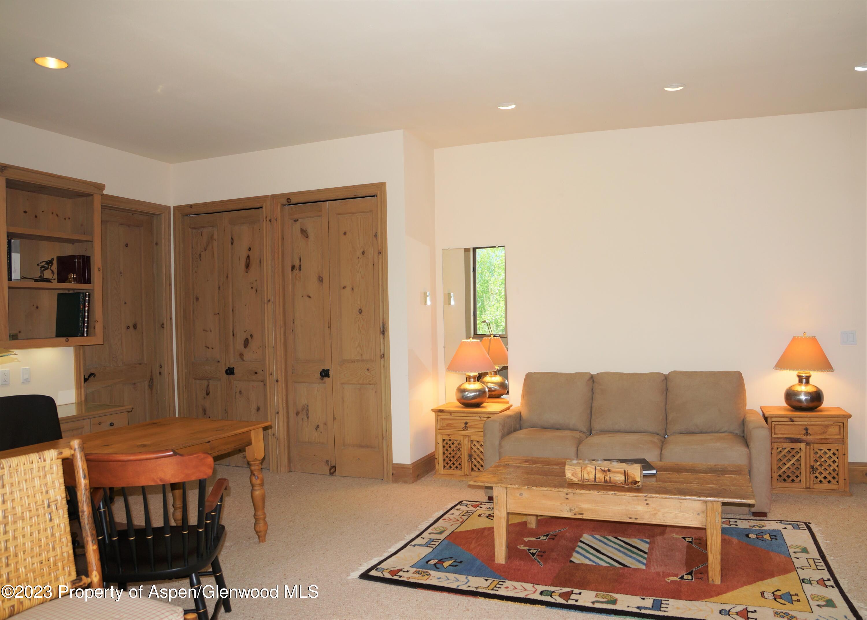 195 Magnifico Drive Aspen CO 81611