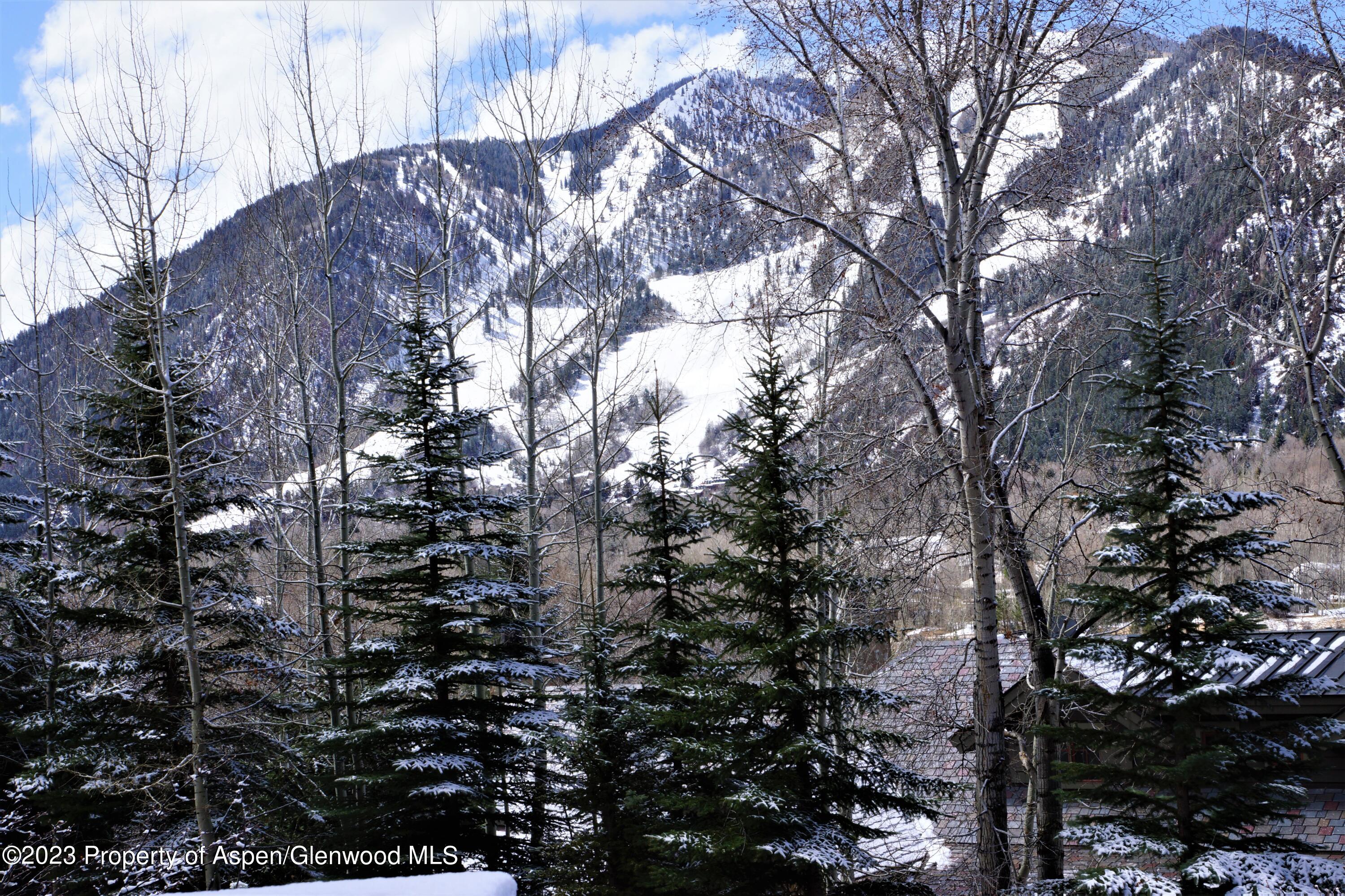 195 Magnifico Drive Aspen CO 81611