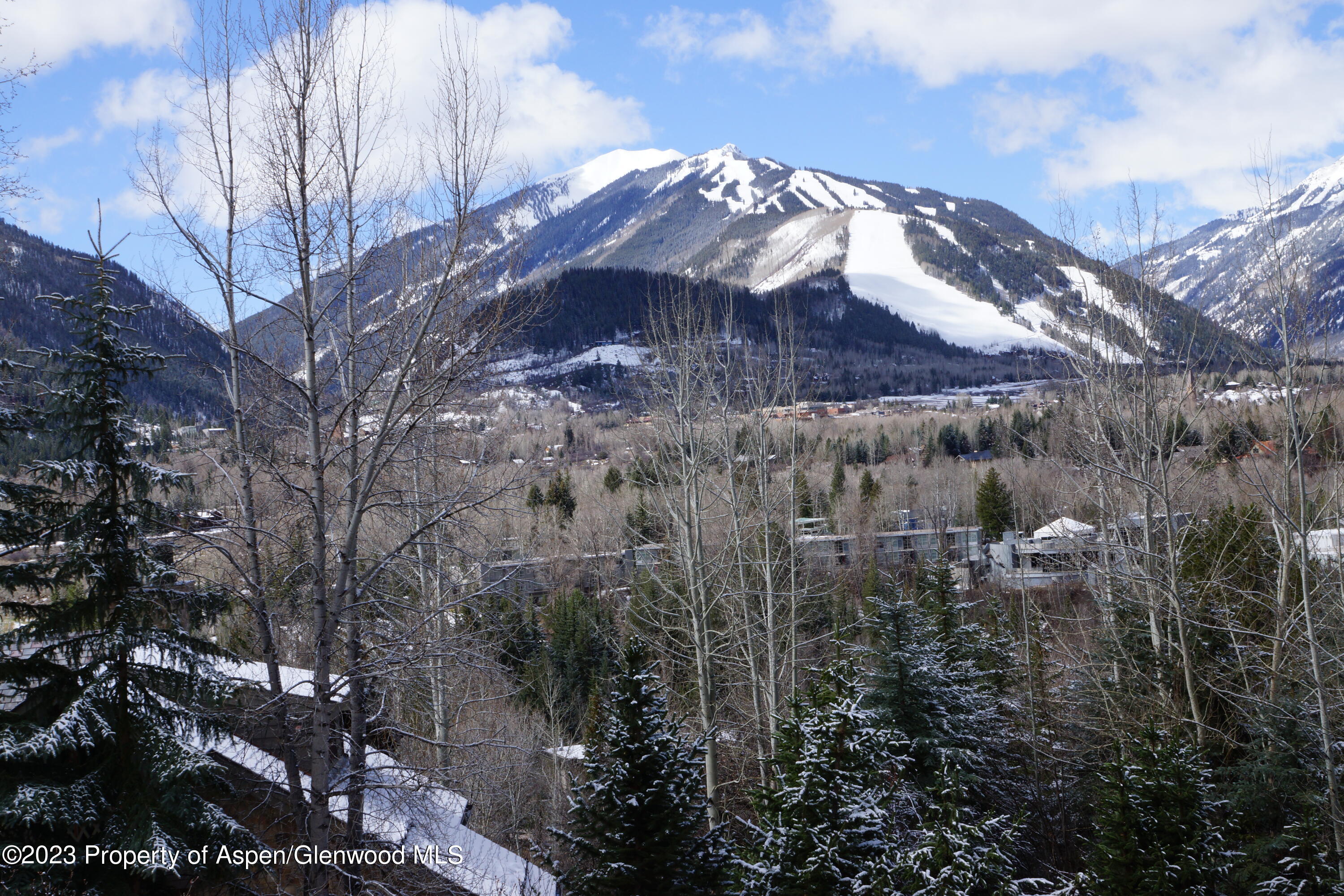 195 Magnifico Drive Aspen CO 81611