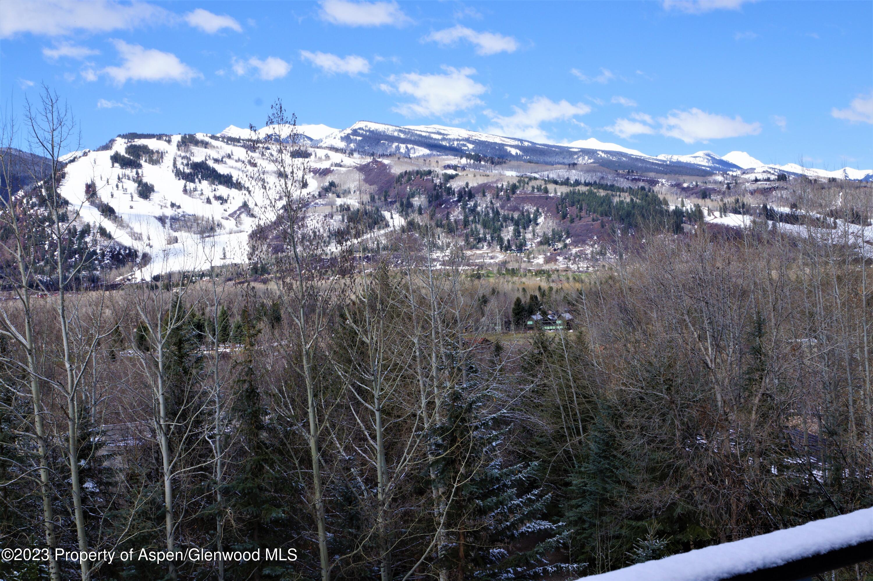 195 Magnifico Drive Aspen CO 81611