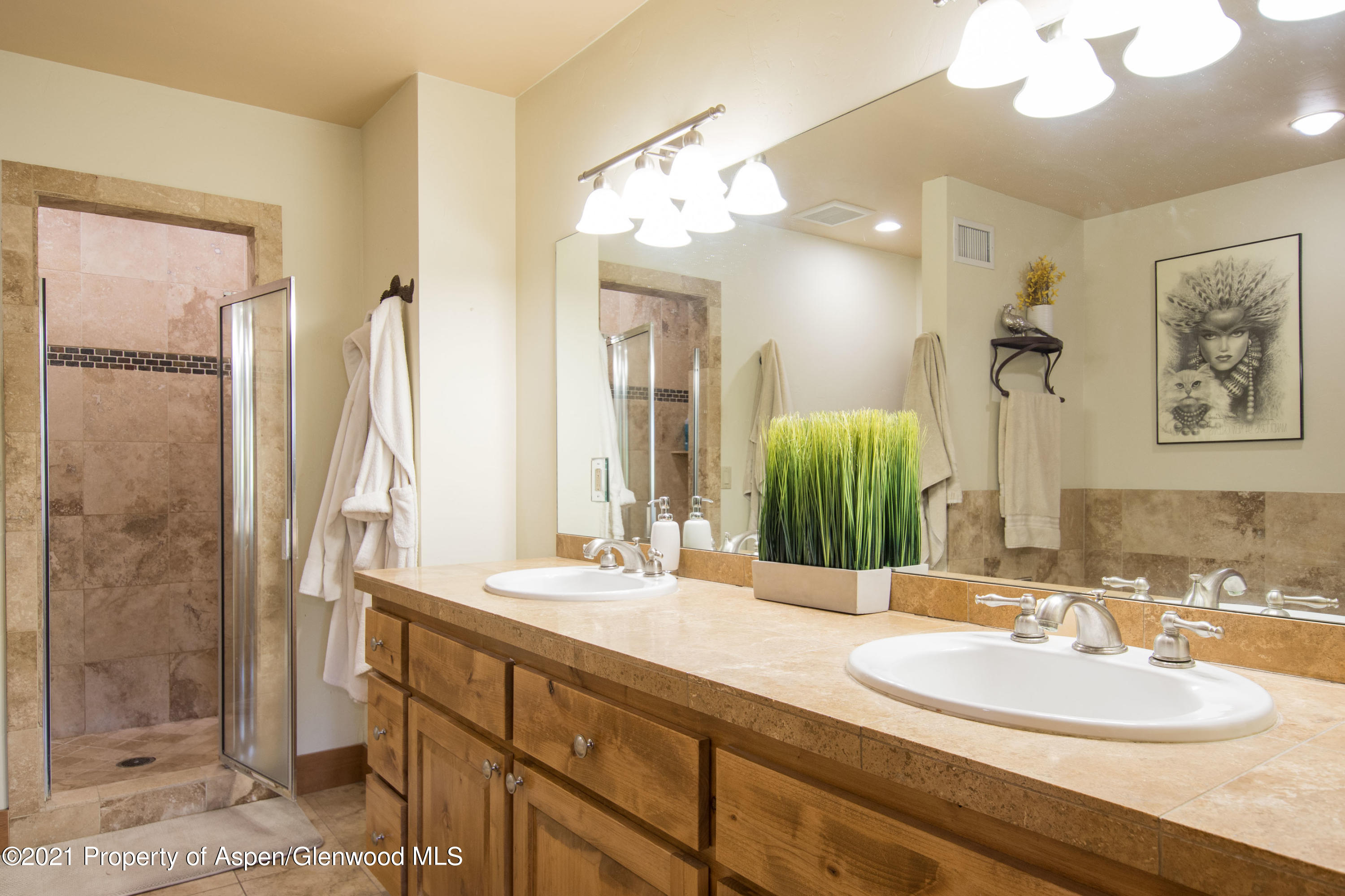 232 Juniper Court Basalt CO 81621