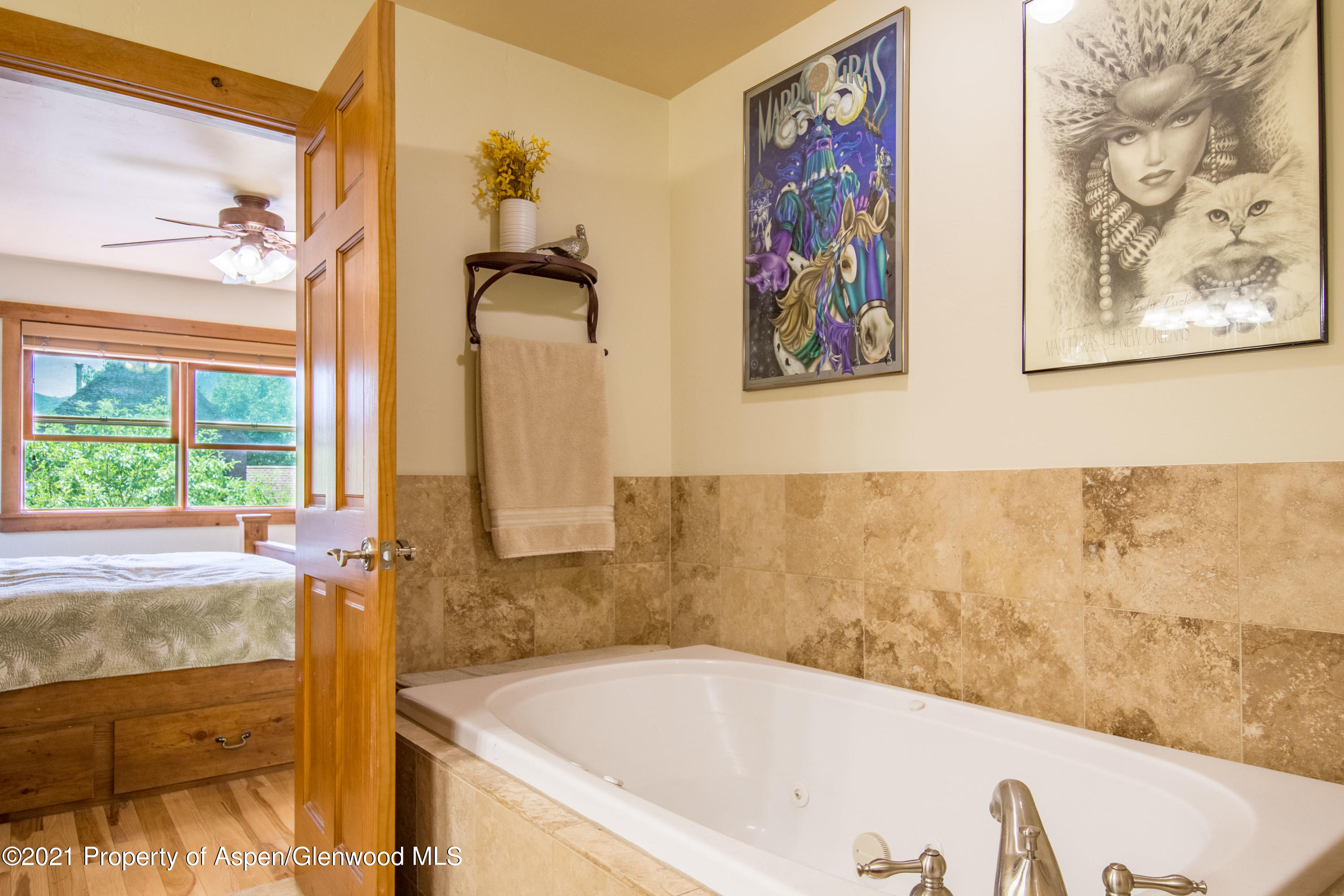 232 Juniper Court Basalt CO 81621