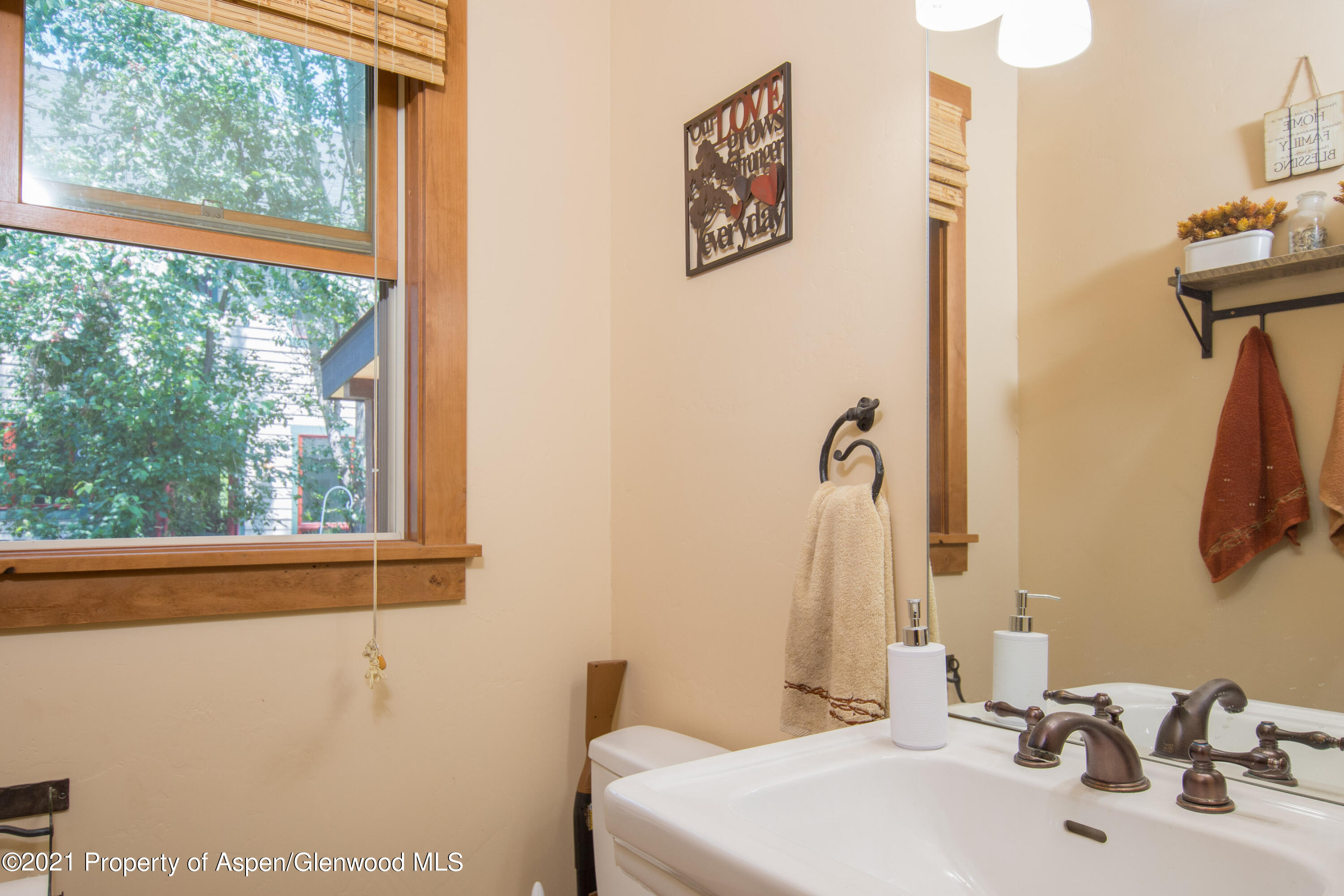 232 Juniper Court Basalt CO 81621