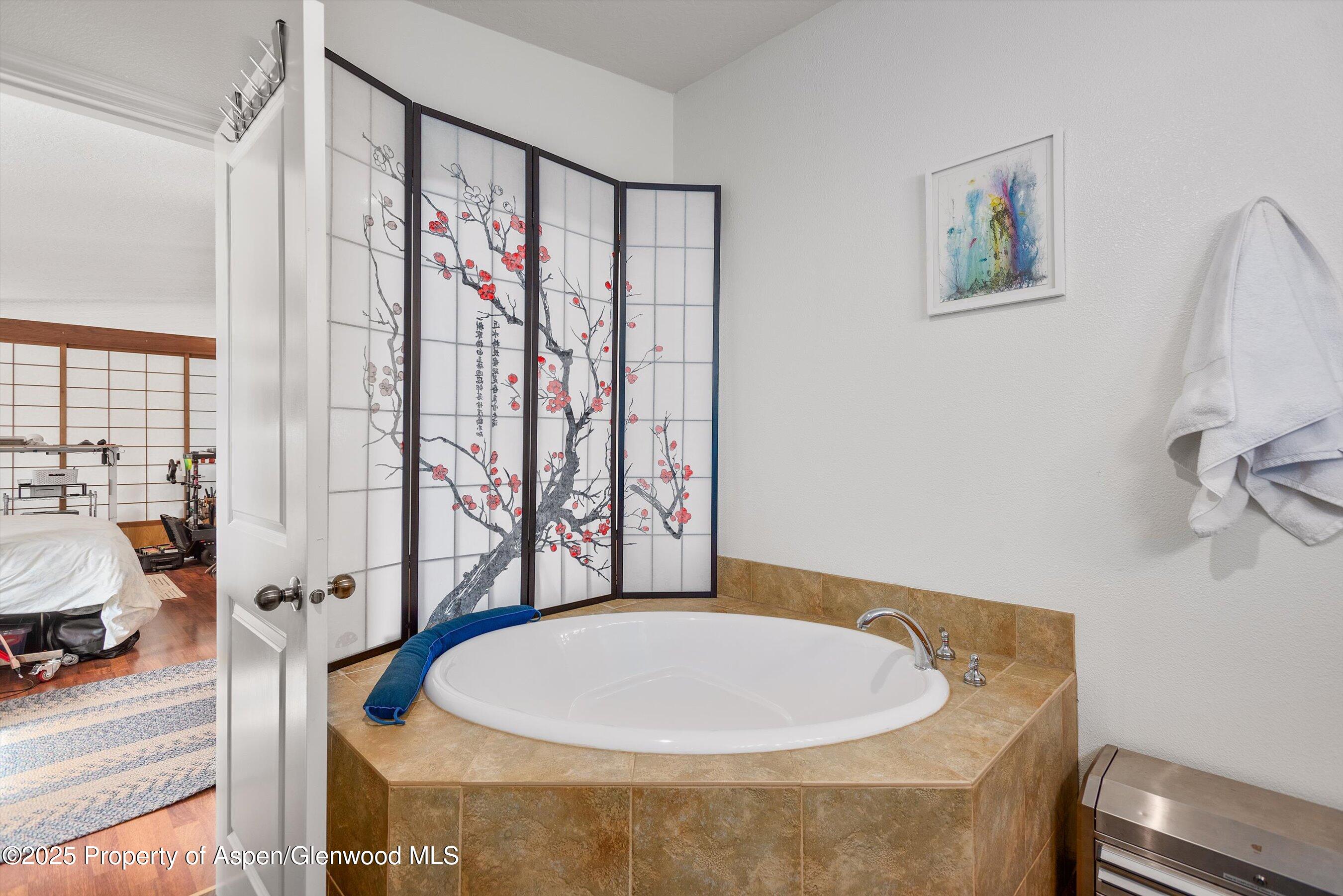 30 Half Inch Aspen CO 81611