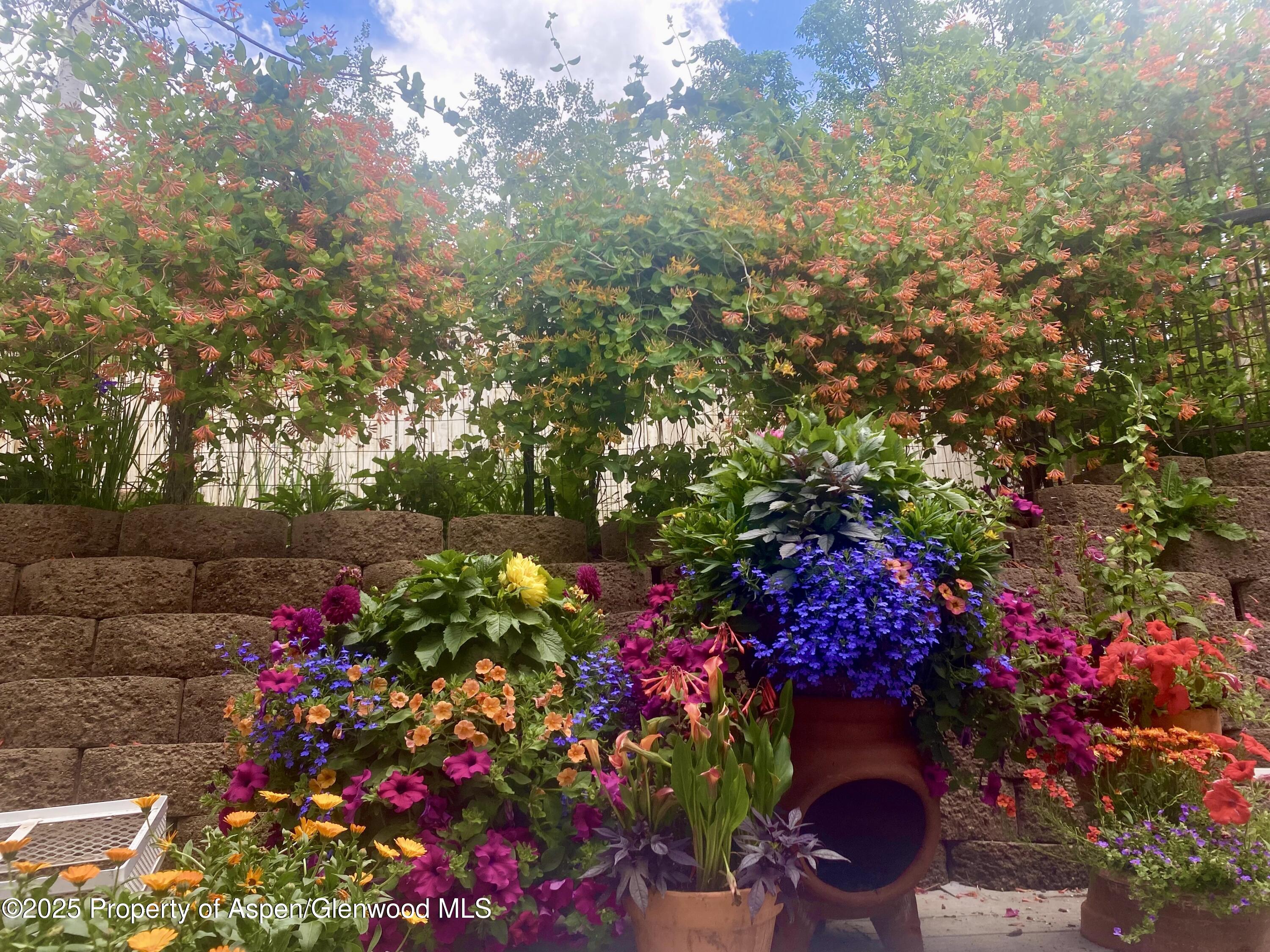 30 Half Inch Aspen CO 81611