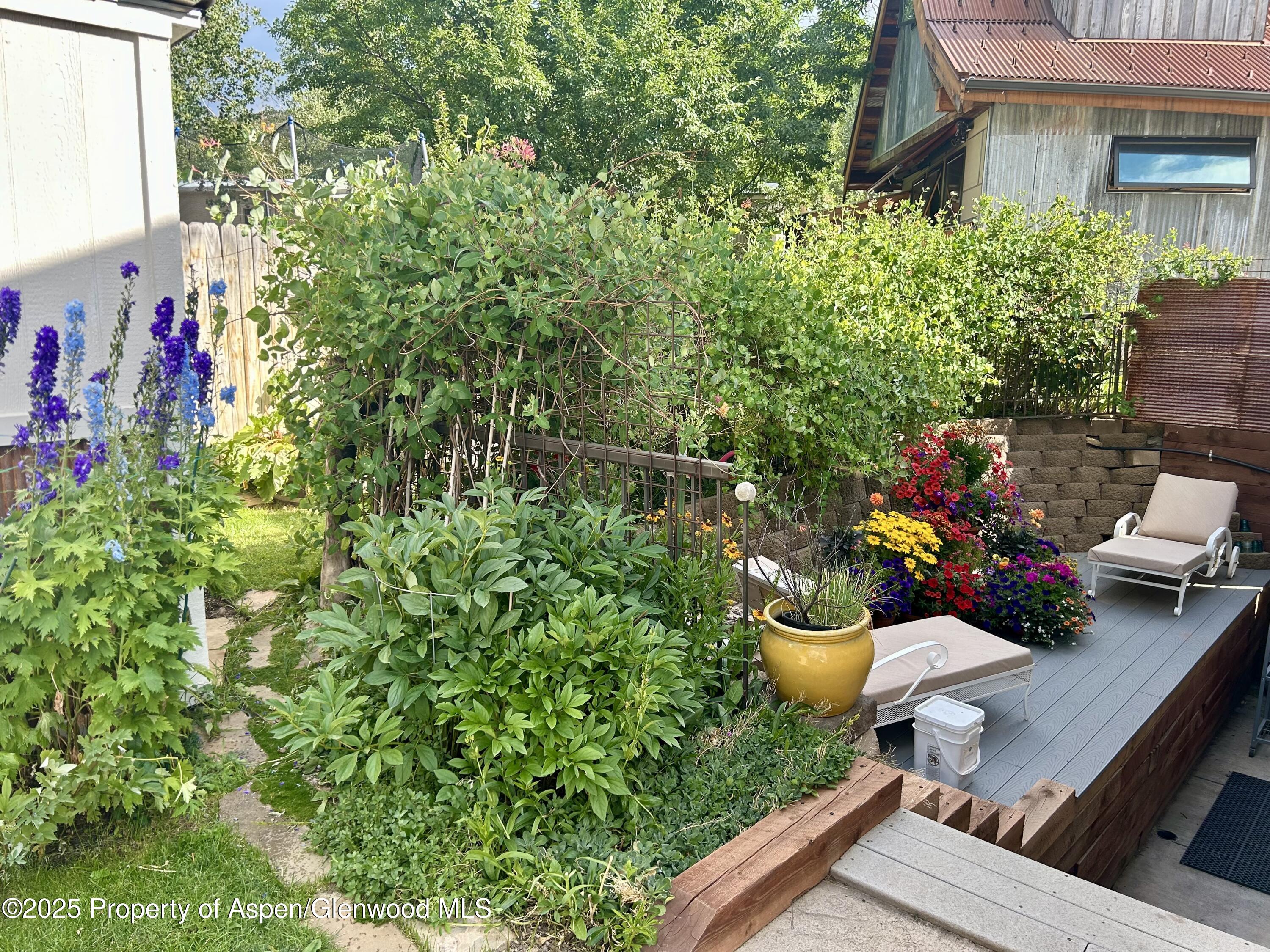 30 Half Inch Aspen CO 81611