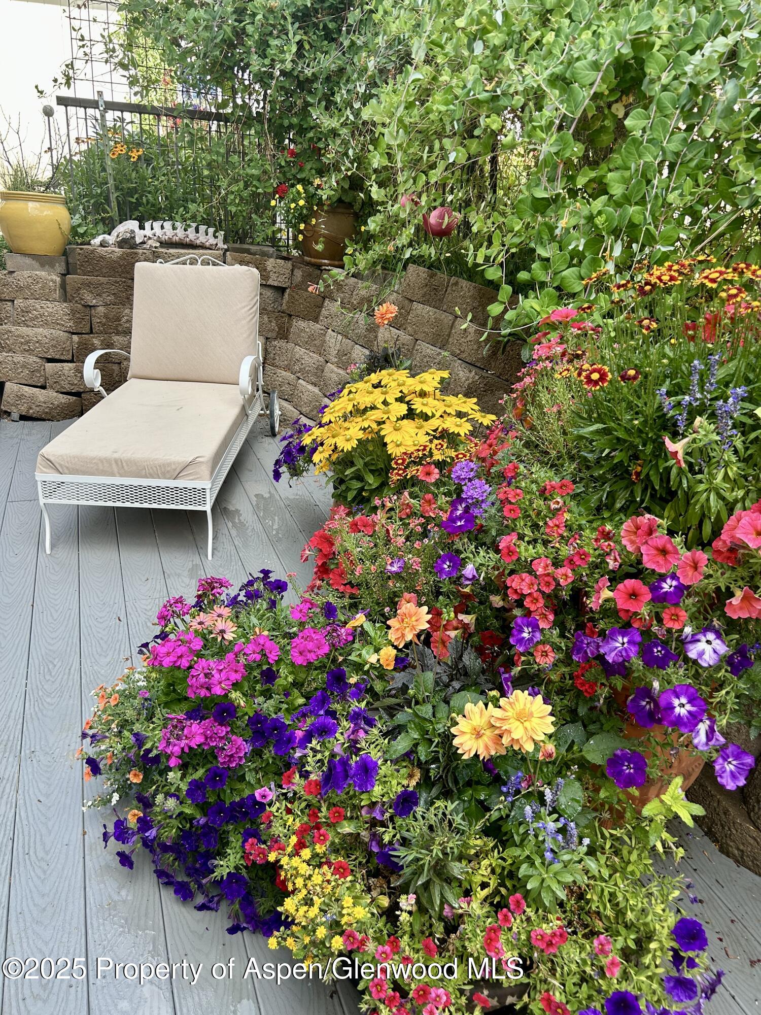 30 Half Inch Aspen CO 81611