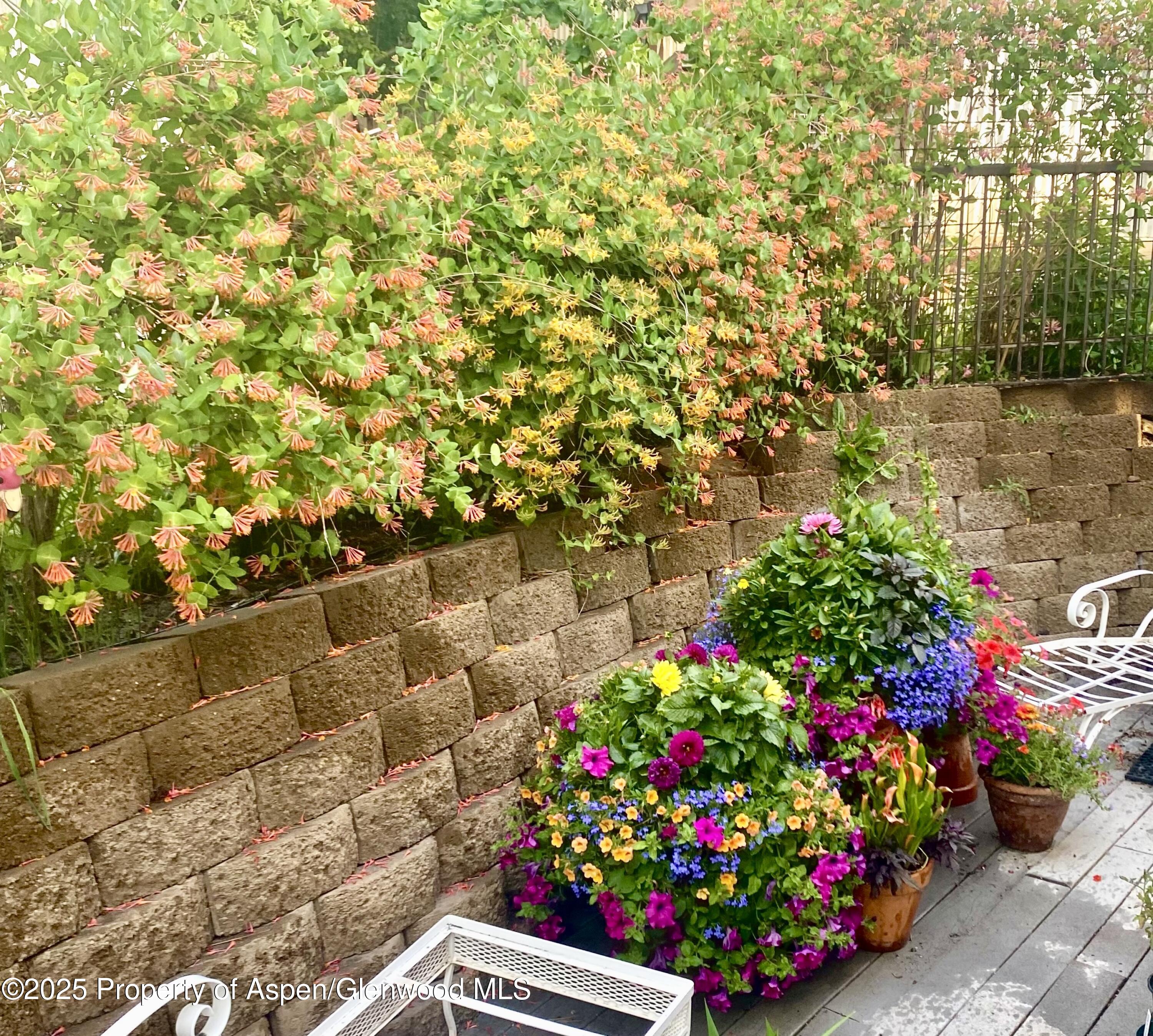 30 Half Inch Aspen CO 81611