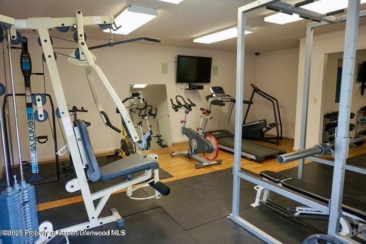 30 Half Inch Aspen CO 81611