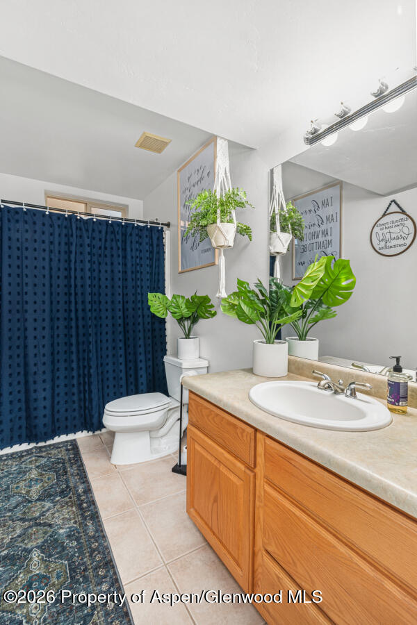 258 Ponderosa Circle Parachute CO 81635