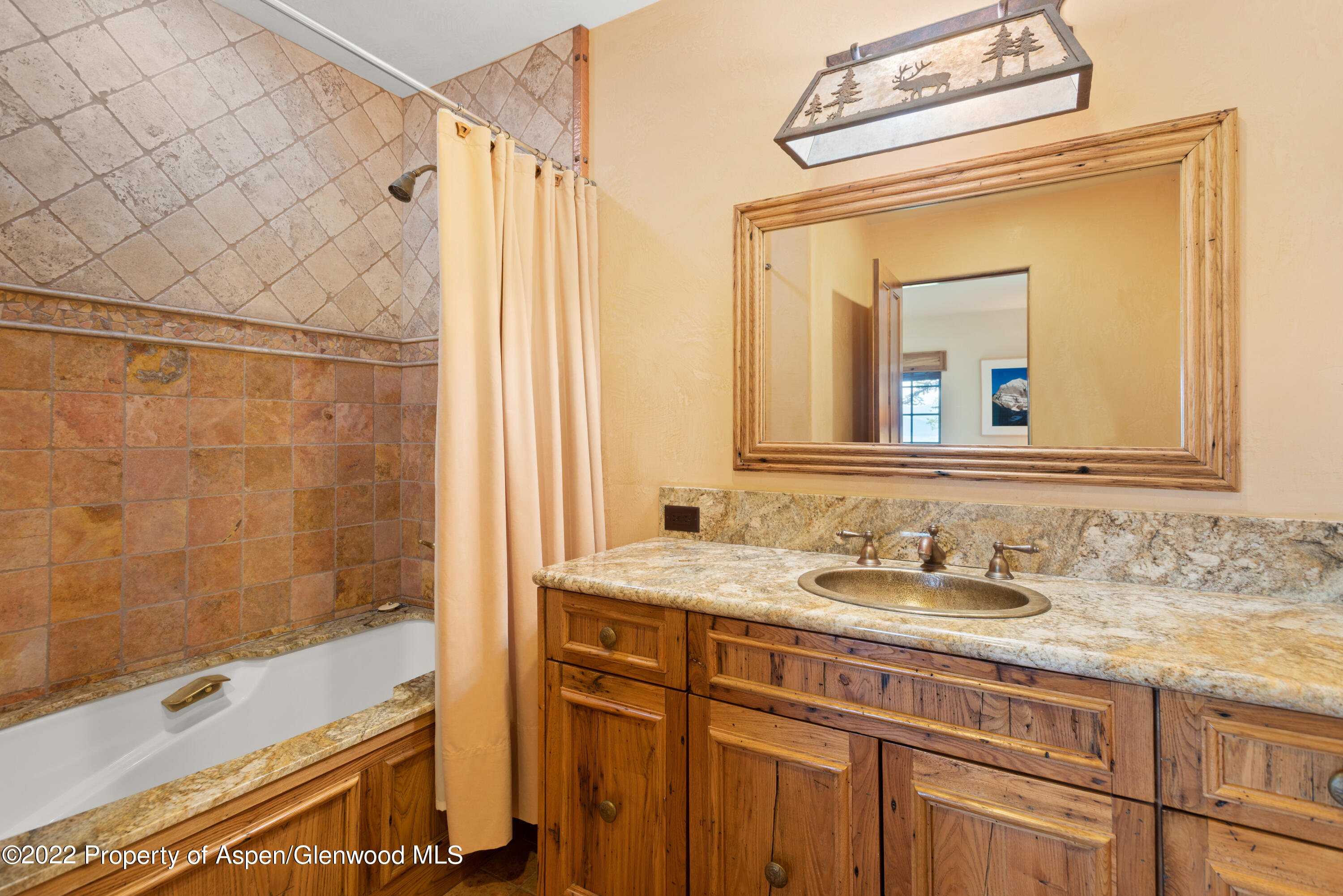 179 Divide Drive Snowmass Village CO 81615