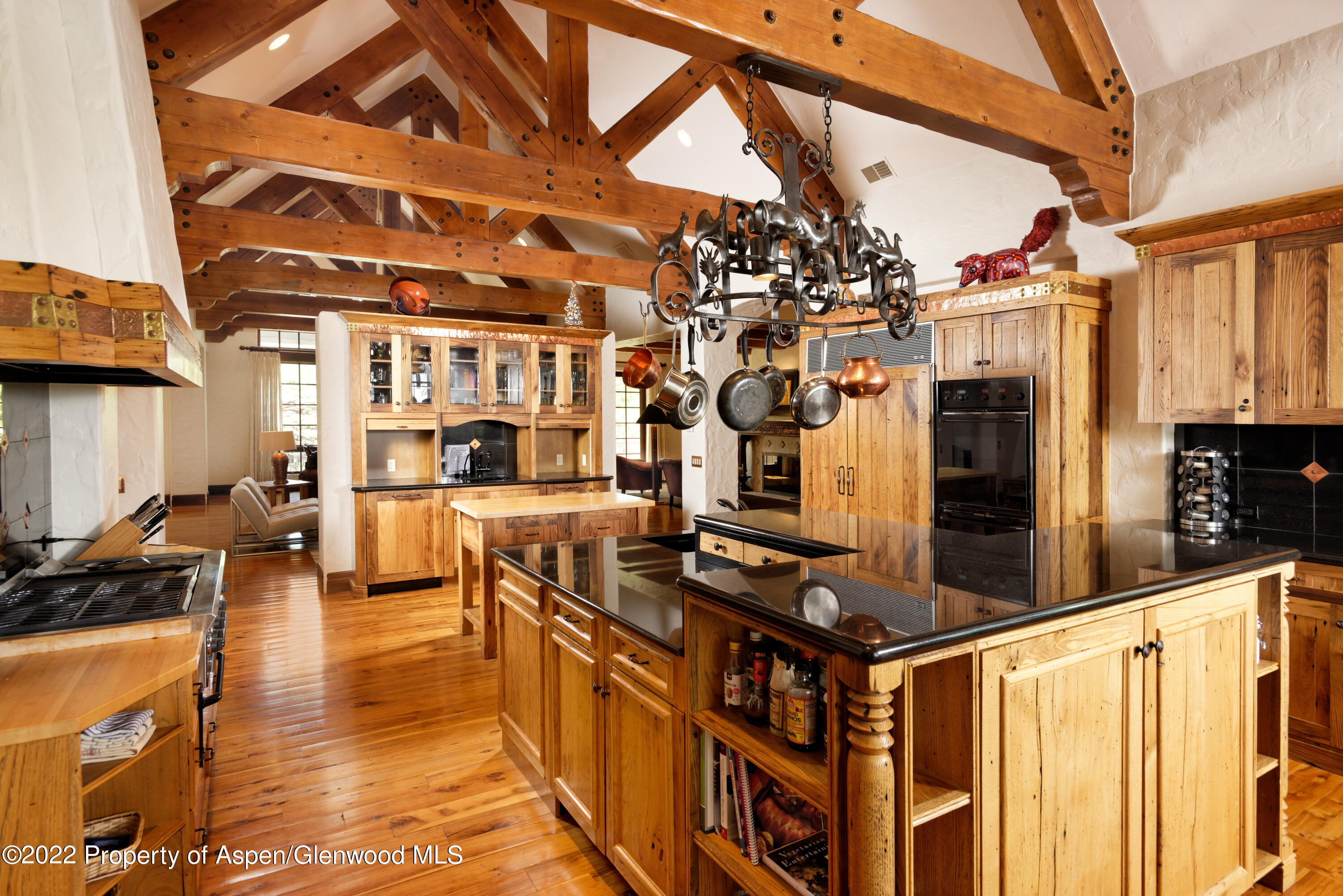 179 Divide Drive Snowmass Village CO 81615