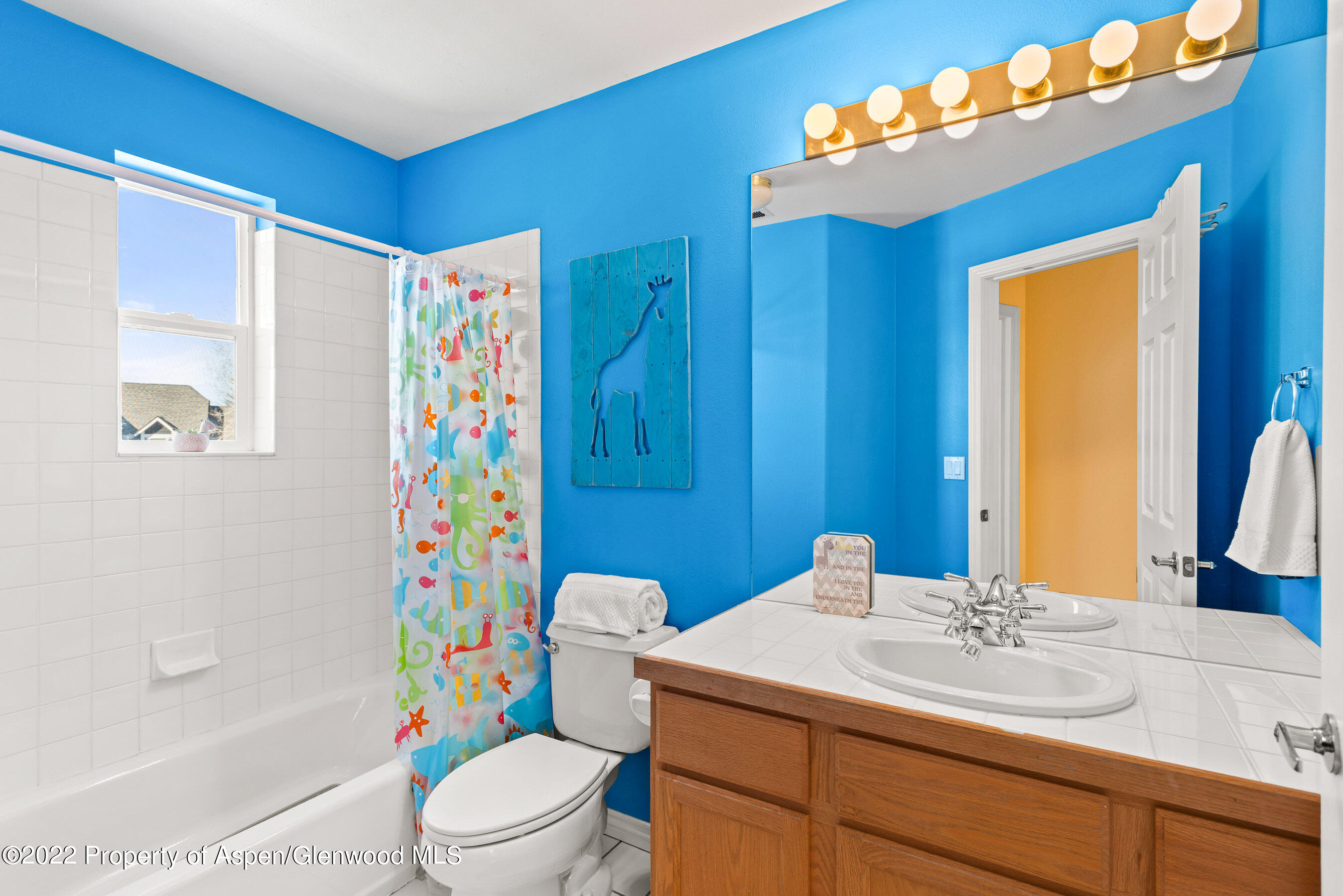 450 Boyd Drive Carbondale CO 81623