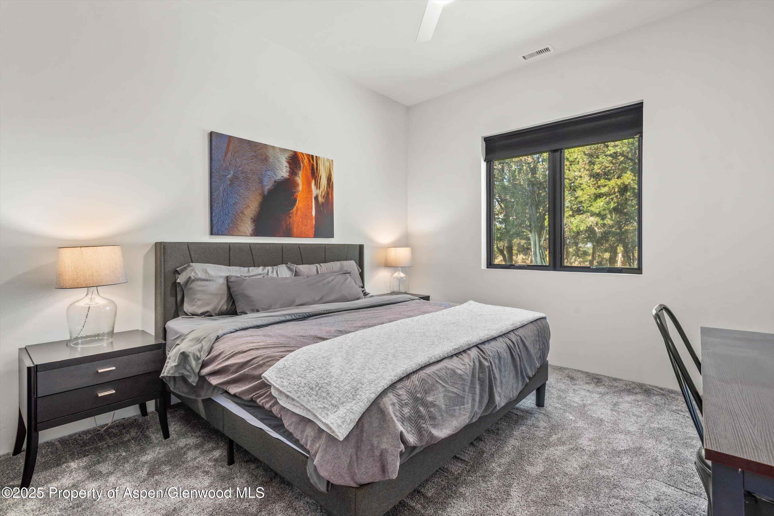 30 Sopris Lane Carbondale CO 81623