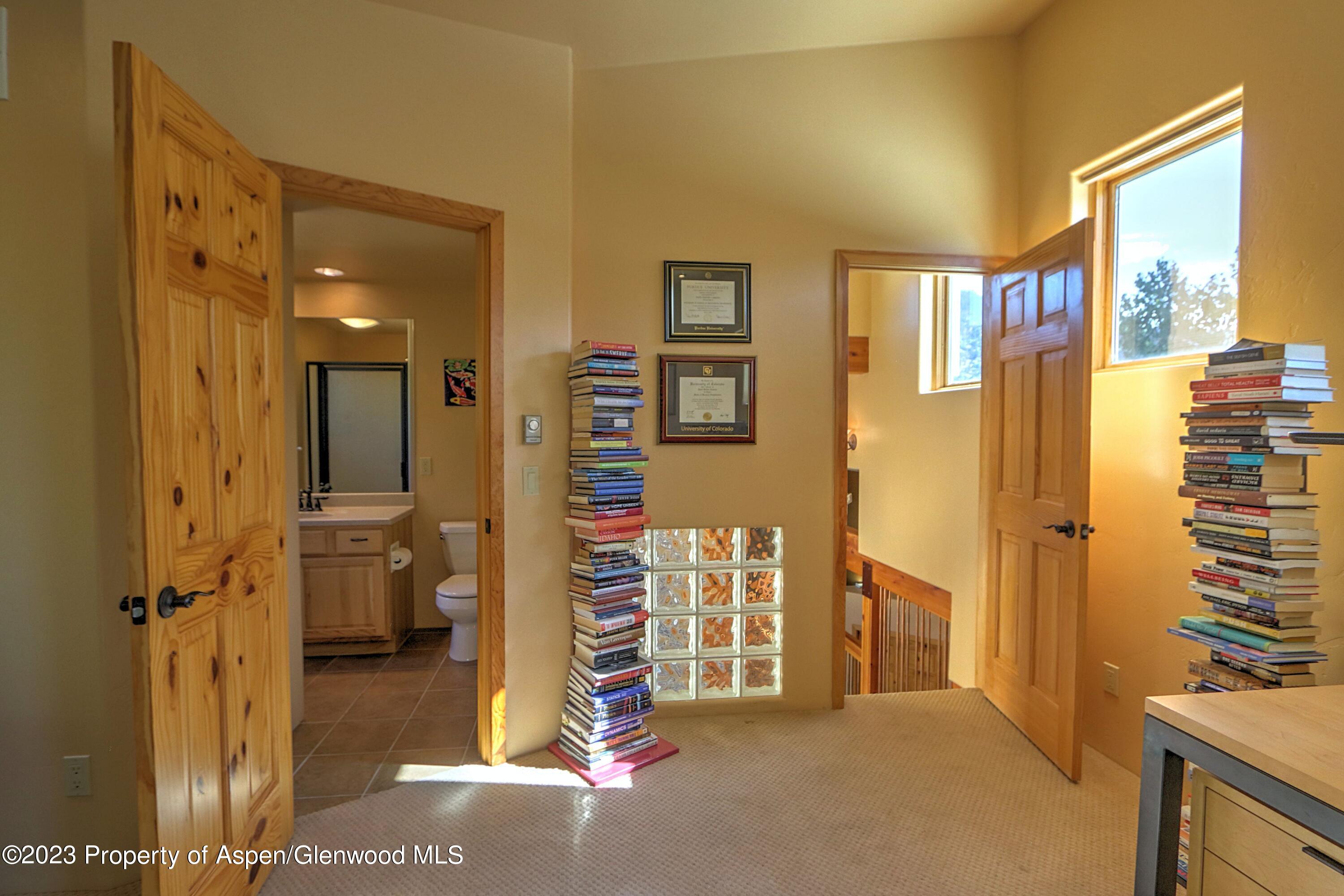 908 Red Mountain Drive Glenwood Springs CO 81601