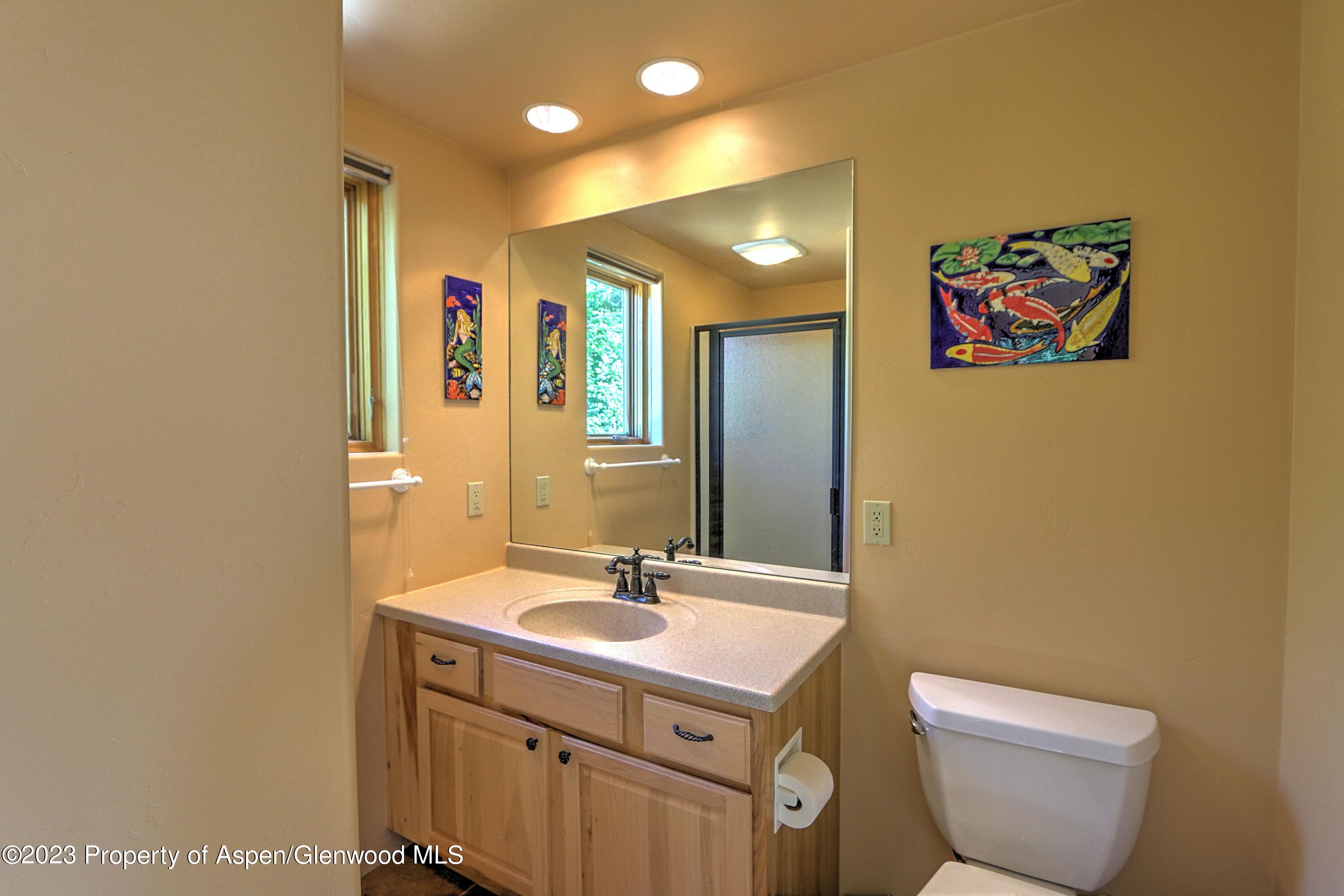 908 Red Mountain Drive Glenwood Springs CO 81601
