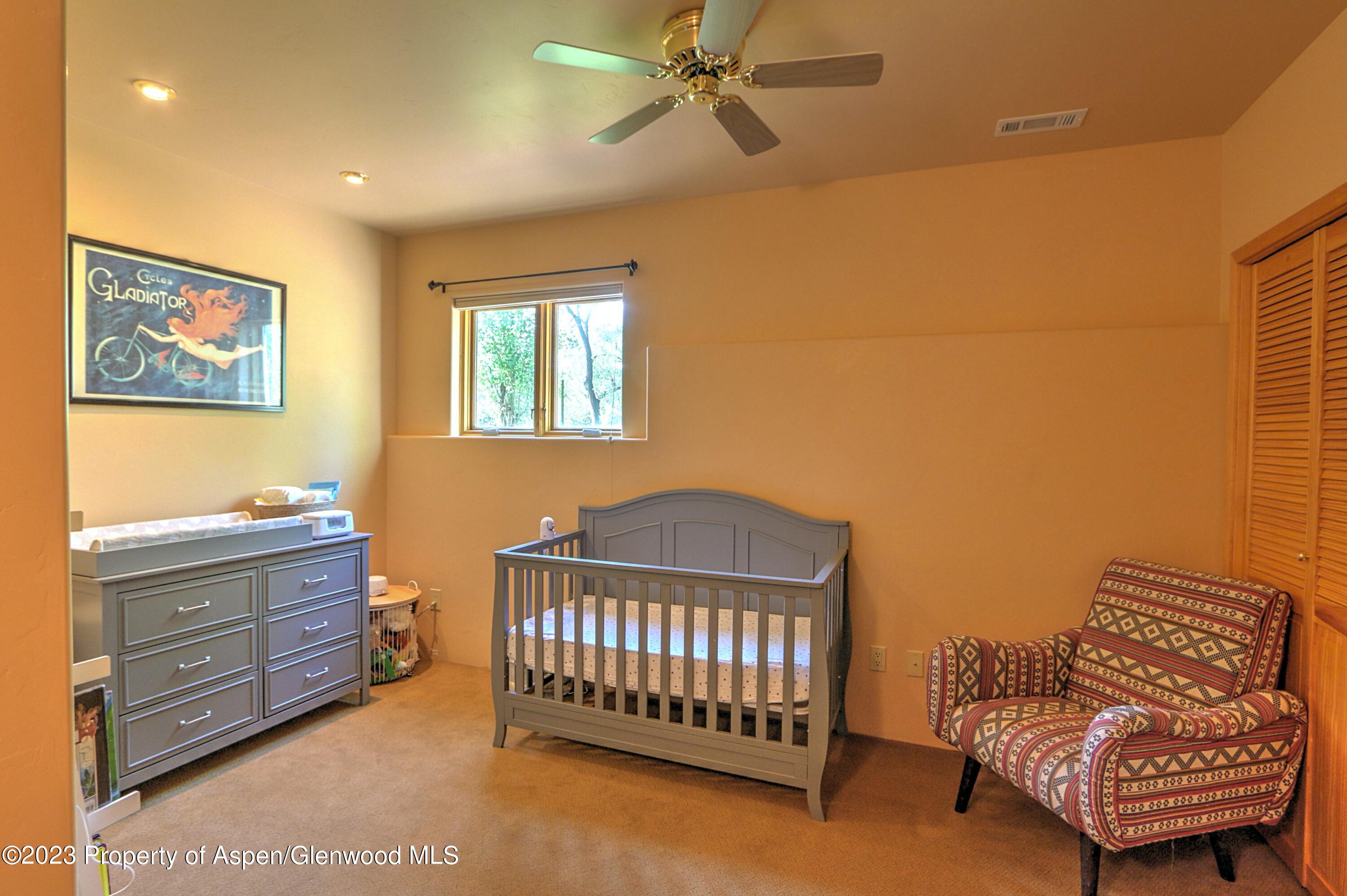 908 Red Mountain Drive Glenwood Springs CO 81601