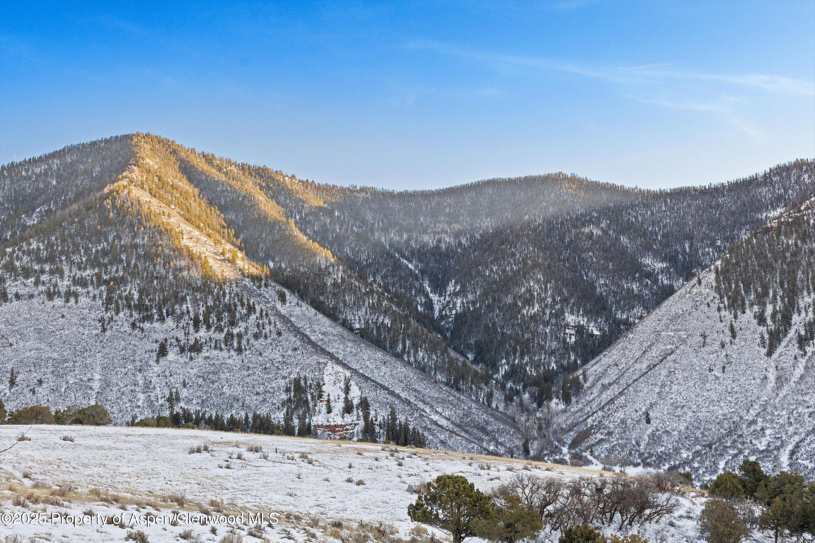 163 Castle Lane Basalt CO 81621