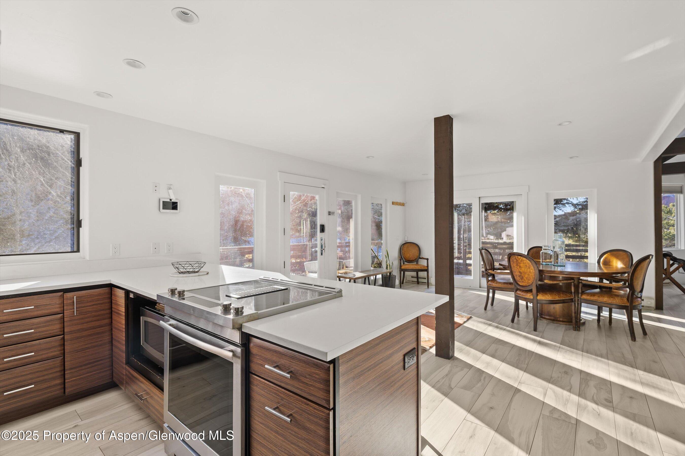 163 Castle Lane Basalt CO 81621