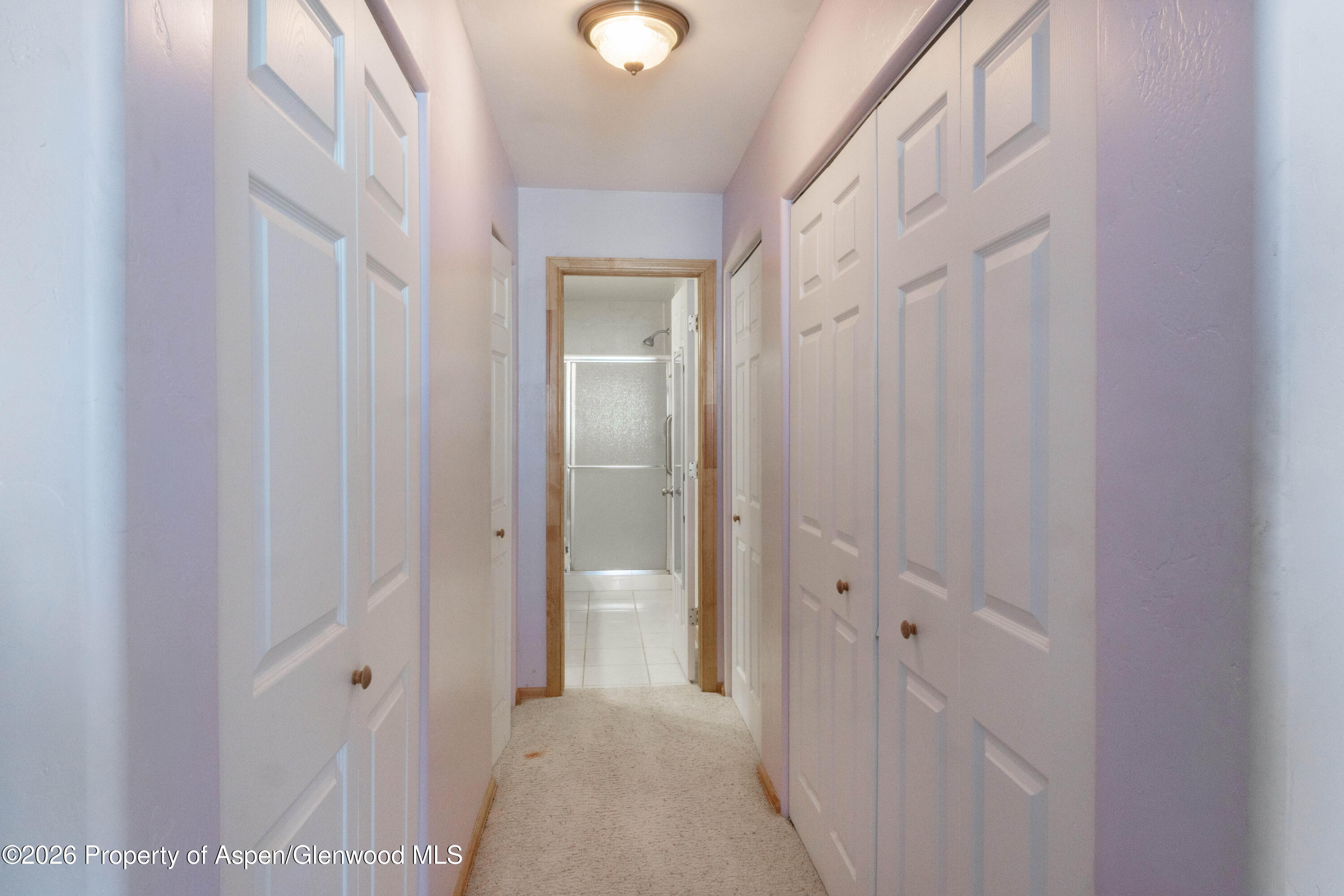 1489 Domelby Court Silt CO 81652