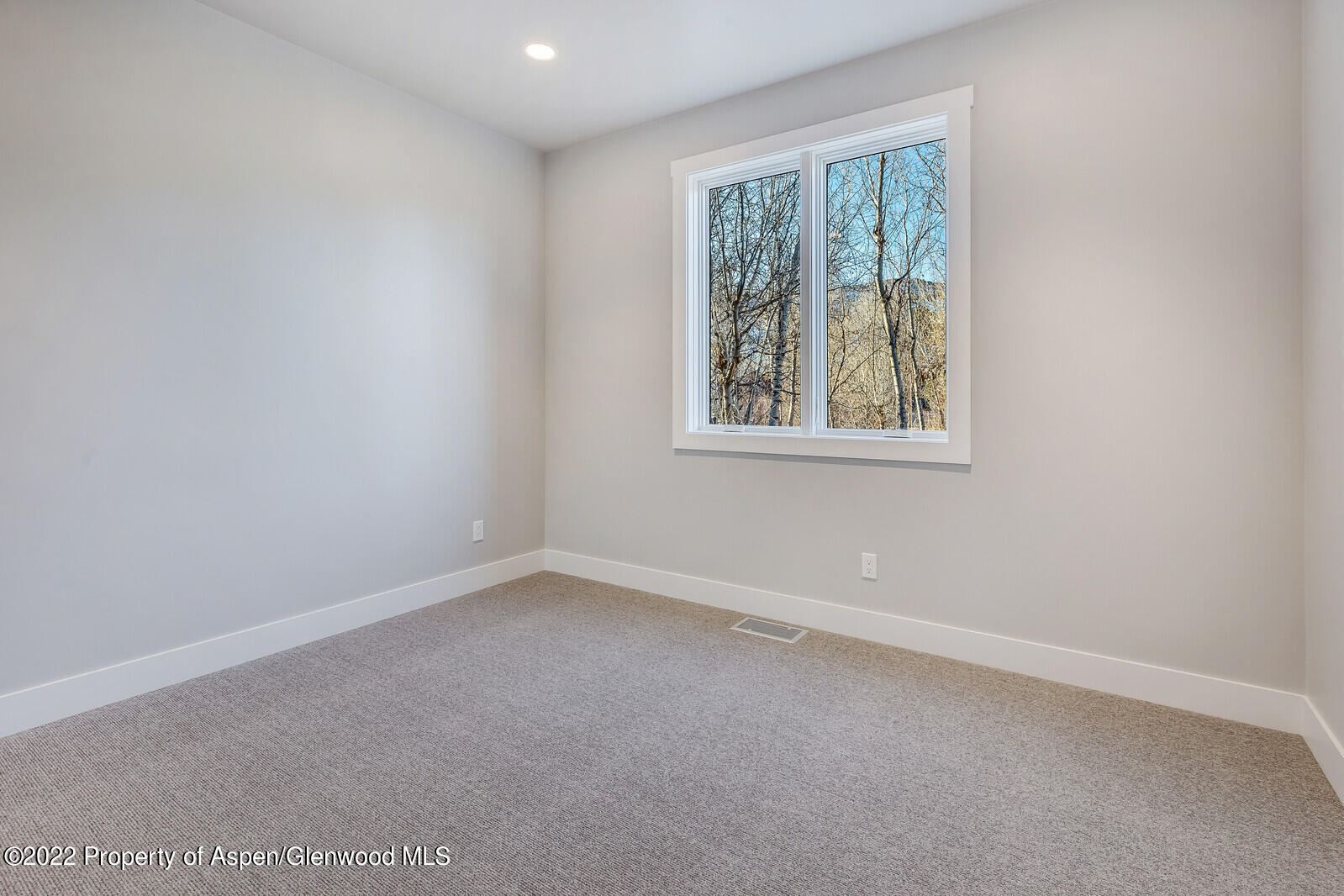 22 Equestrian Way Carbondale CO 81623
