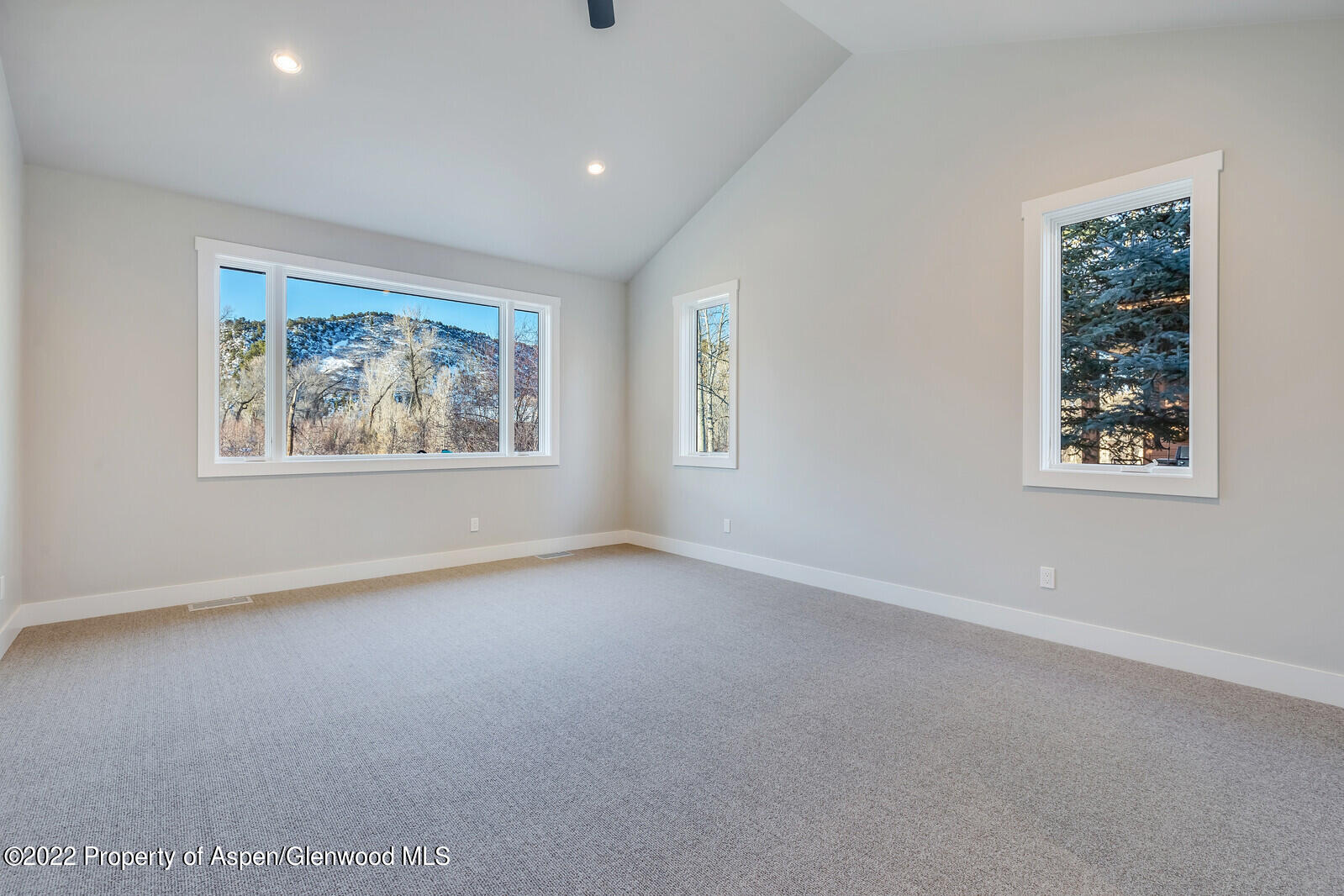 22 Equestrian Way Carbondale CO 81623