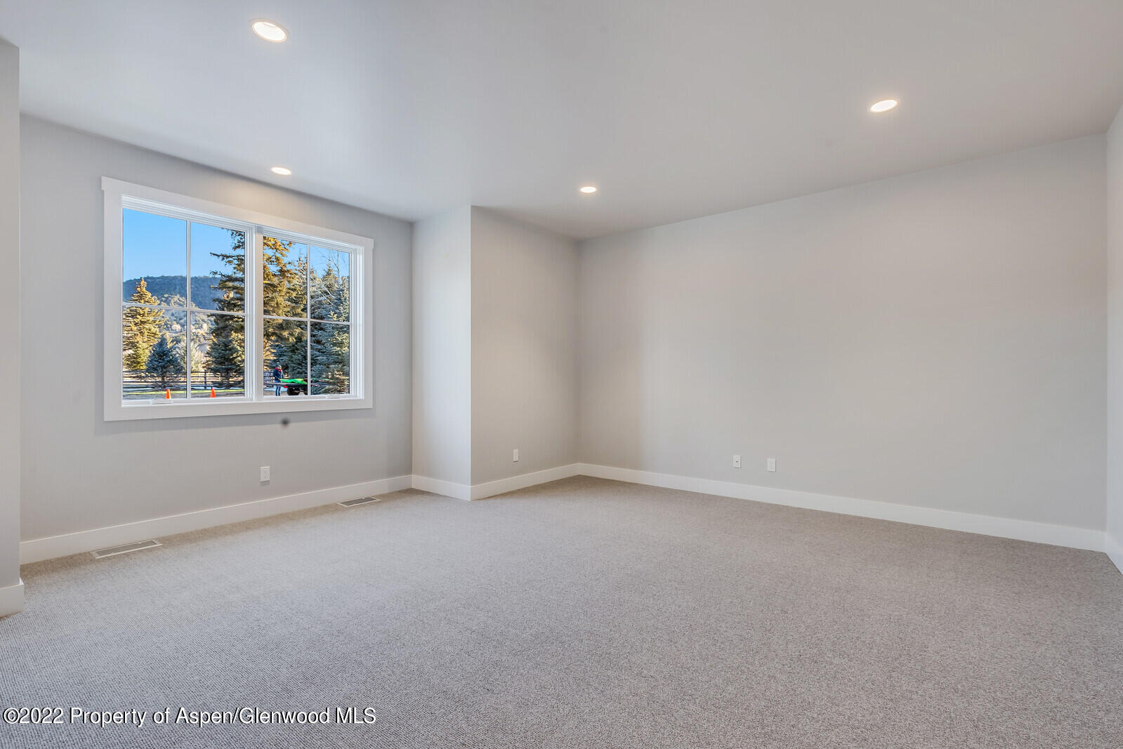 22 Equestrian Way Carbondale CO 81623