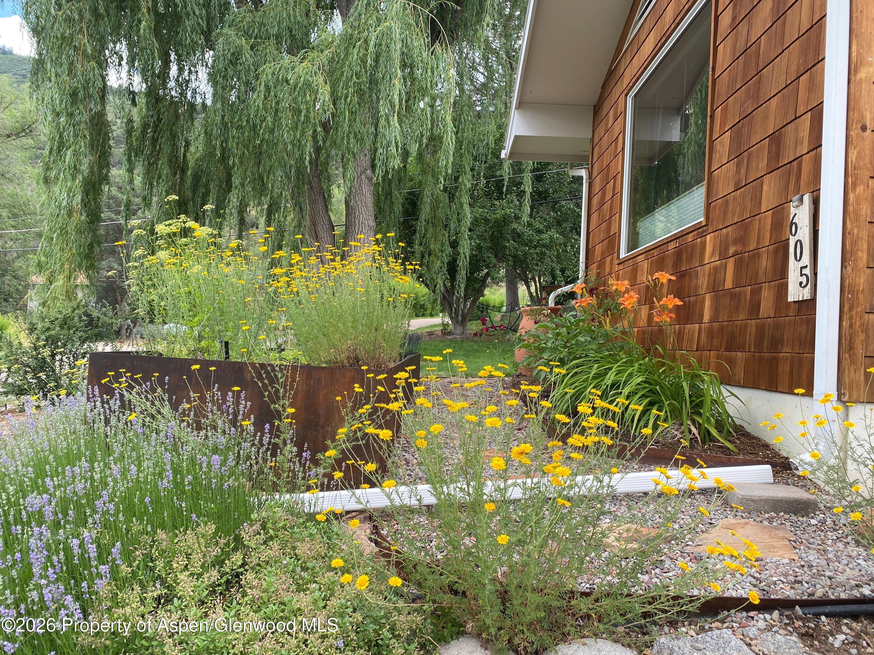 605 W 9th Place Glenwood Springs CO 81601