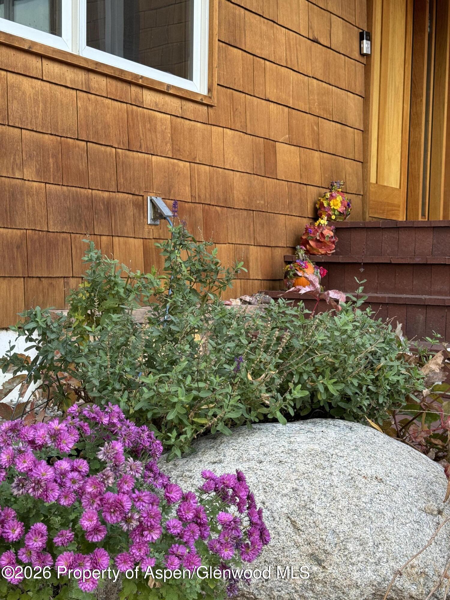 605 W 9th Place Glenwood Springs CO 81601