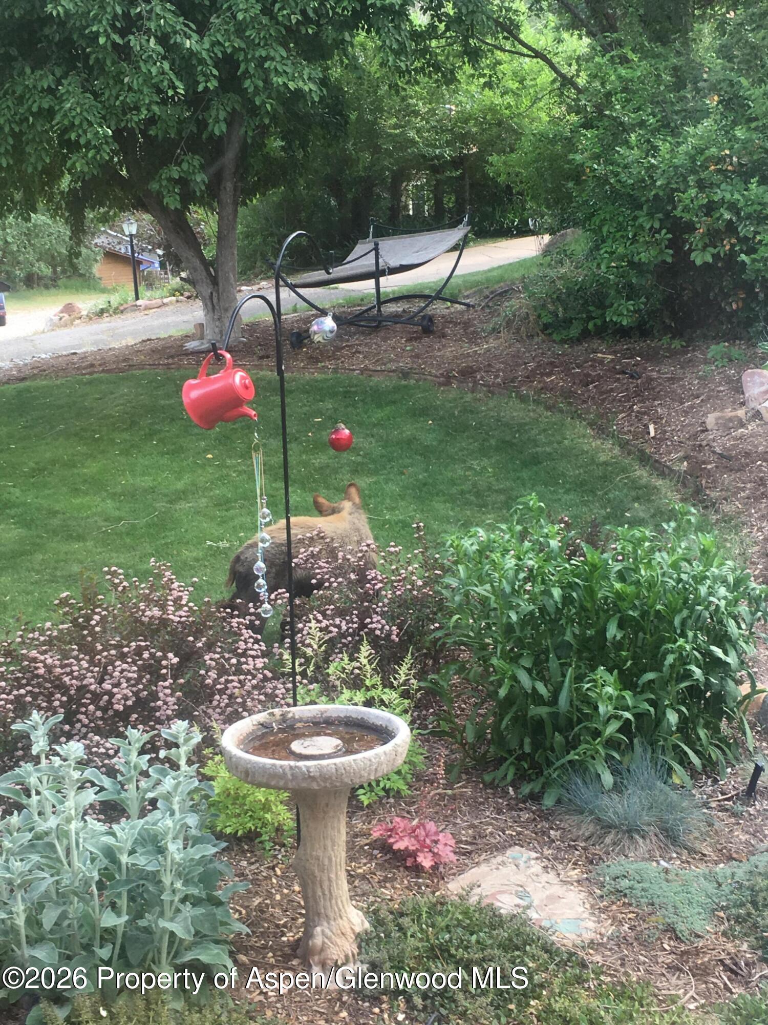 605 W 9th Place Glenwood Springs CO 81601