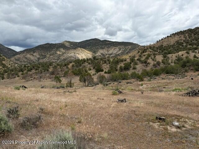 1857 County Road 259 Silt CO 81652